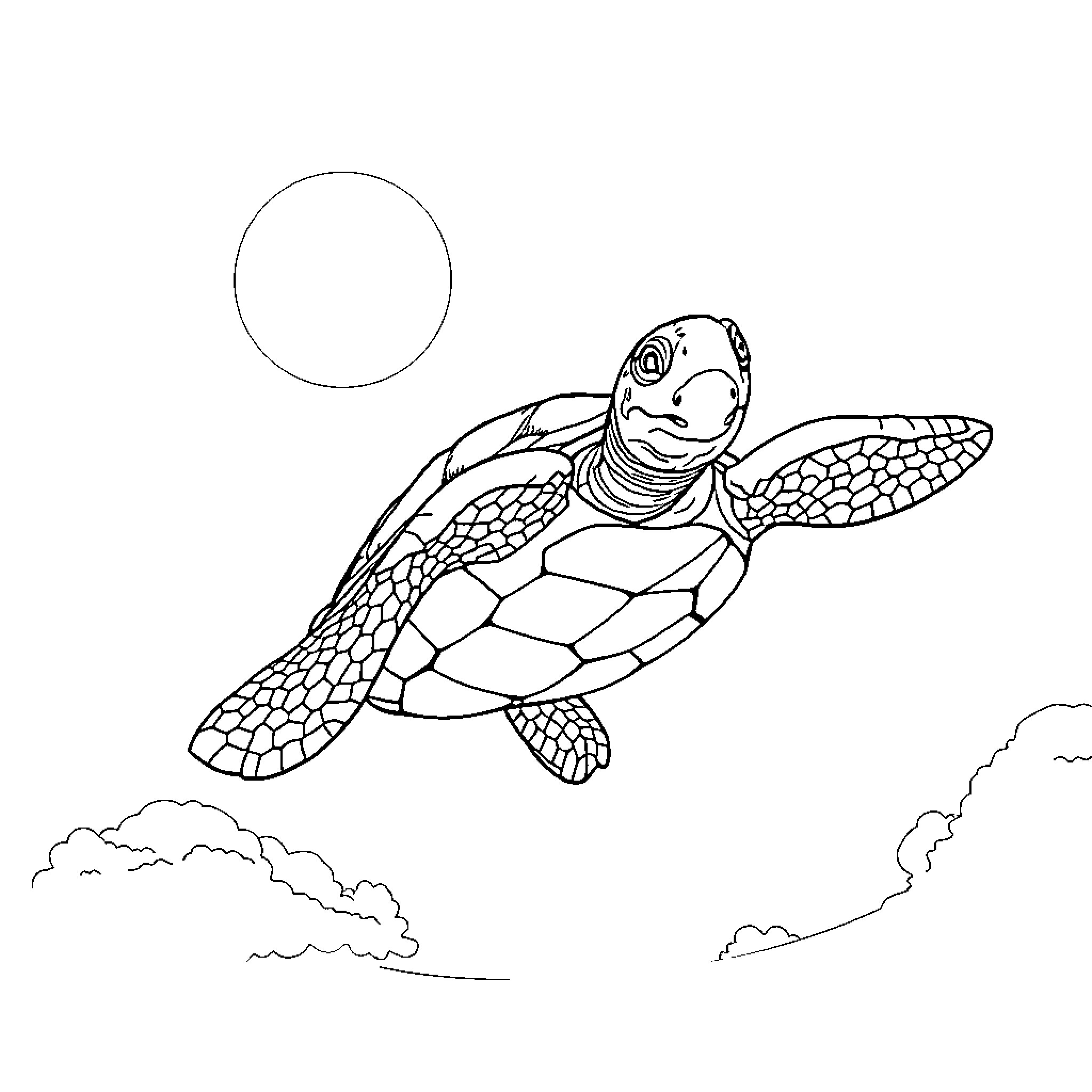 Turtle swimming happily in the sky Coloring Page (free black-and-white line drawing printable PDF for all, from beginners to advanced learners, including children, teens, adults, and seniors)