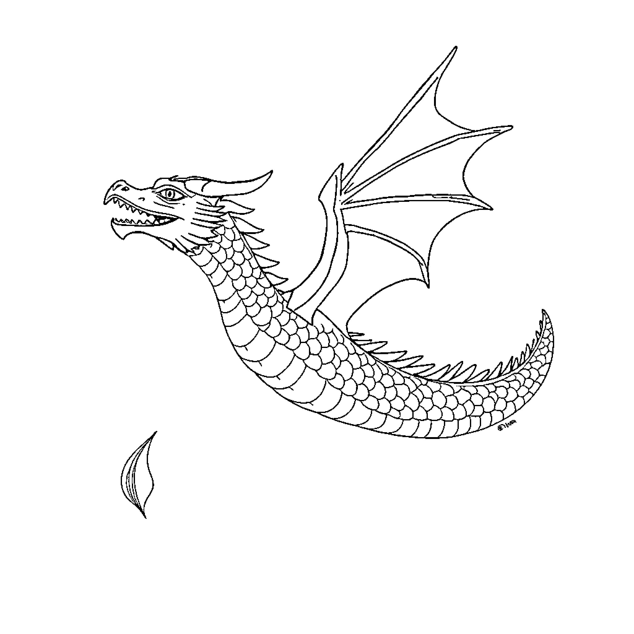 Dragon in mid-flight with wings extended Coloring Page (free black-and-white line drawing printable PDF for all, from beginners to advanced learners, including children, teens, adults, and seniors)