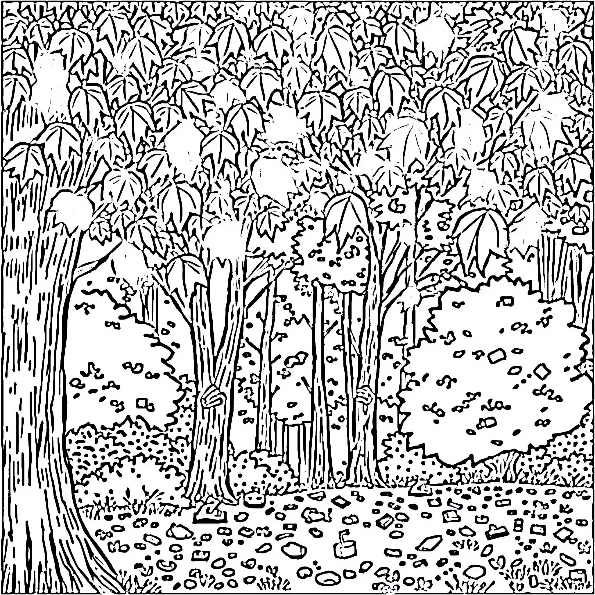 Fall scenery with lush foliage and forest floor Coloring Page (free black-and-white line drawing printable PDF for all, from beginners to advanced learners, including children, teens, adults, and seniors)