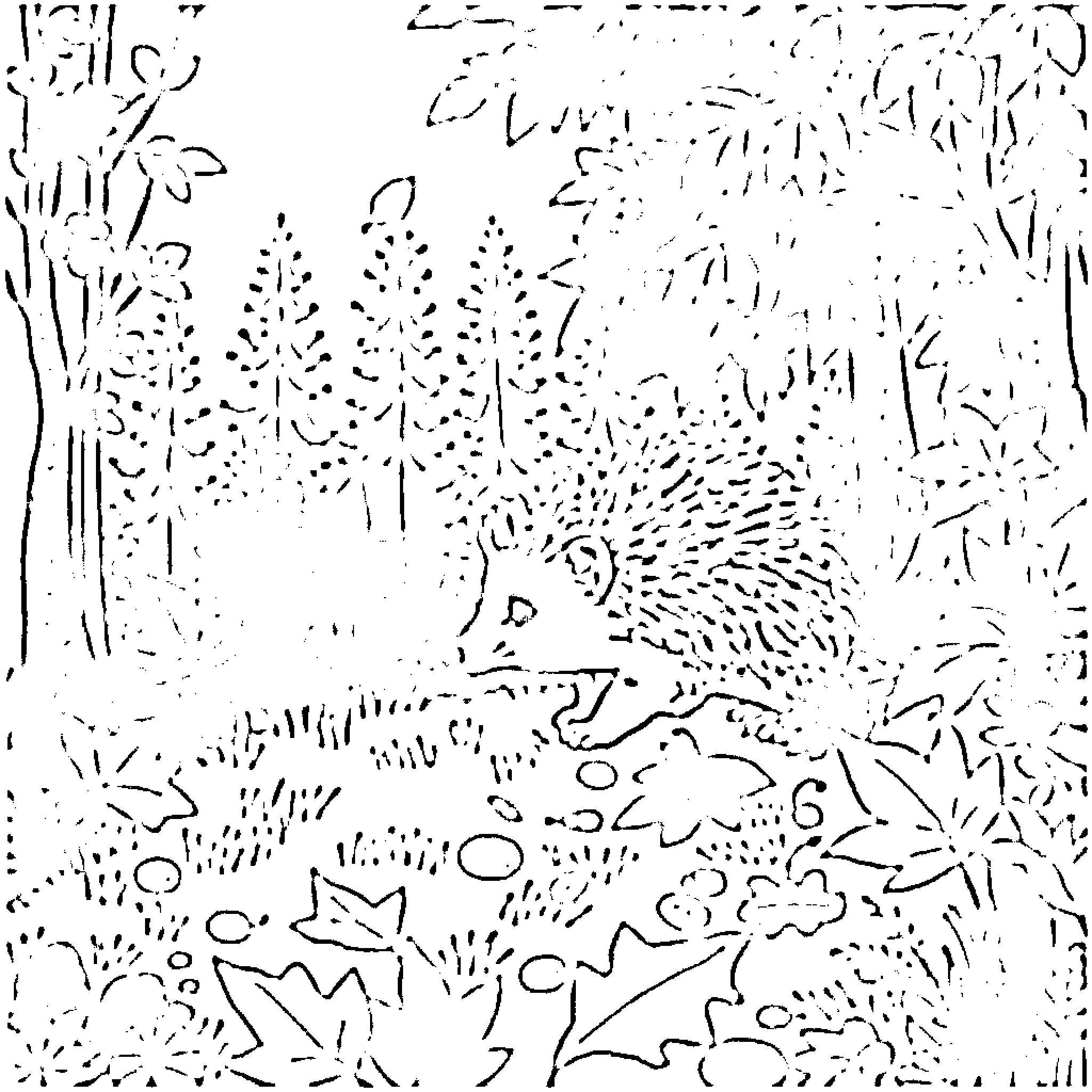 Hedgehog exploring the undergrowth Coloring Page (free black-and-white line drawing printable PDF for all, from beginners to advanced learners, including children, teens, adults, and seniors)