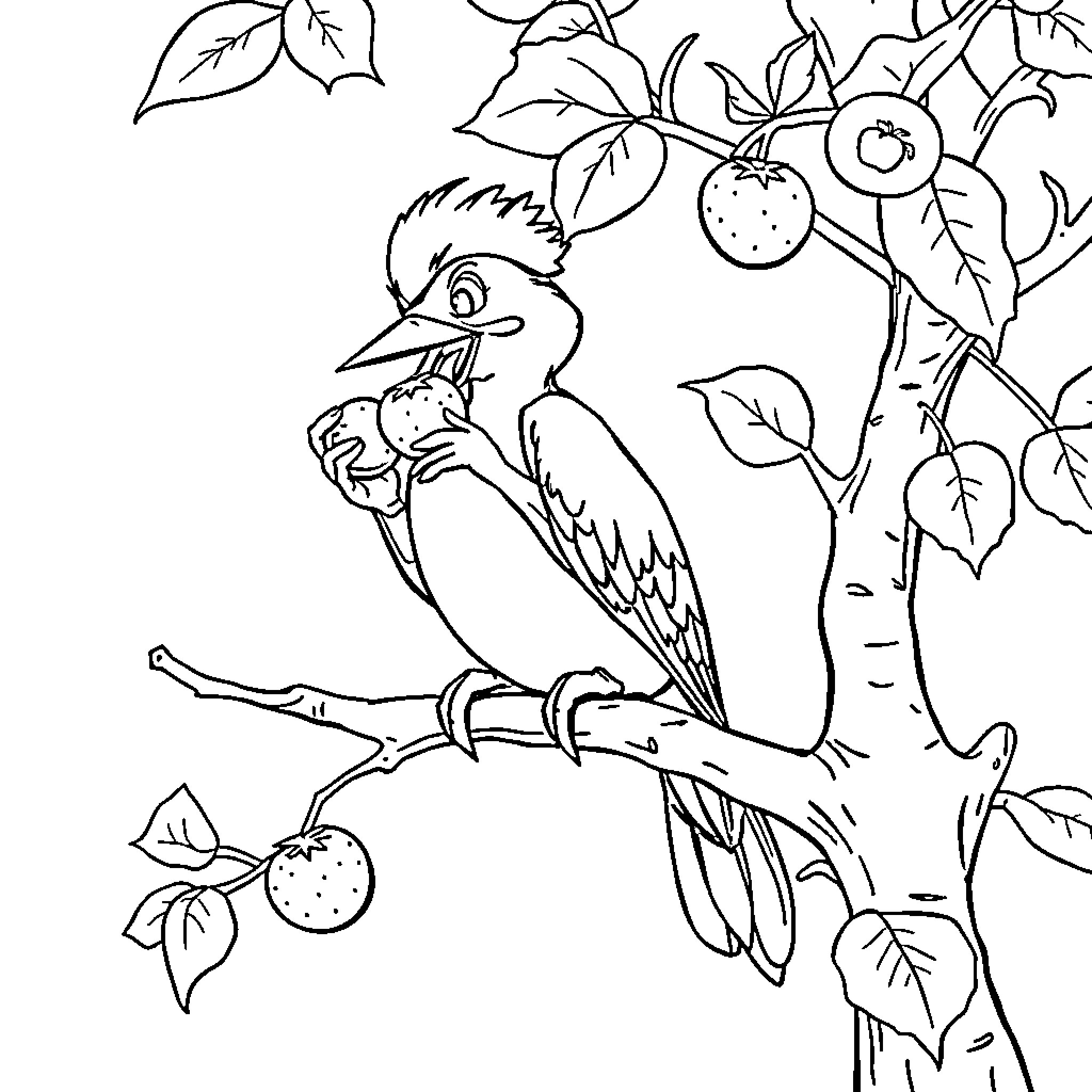 Woodpecker perched on a tree with fruits Coloring Page (free black-and-white line drawing printable PDF for all, from beginners to advanced learners, including children, teens, adults, and seniors)