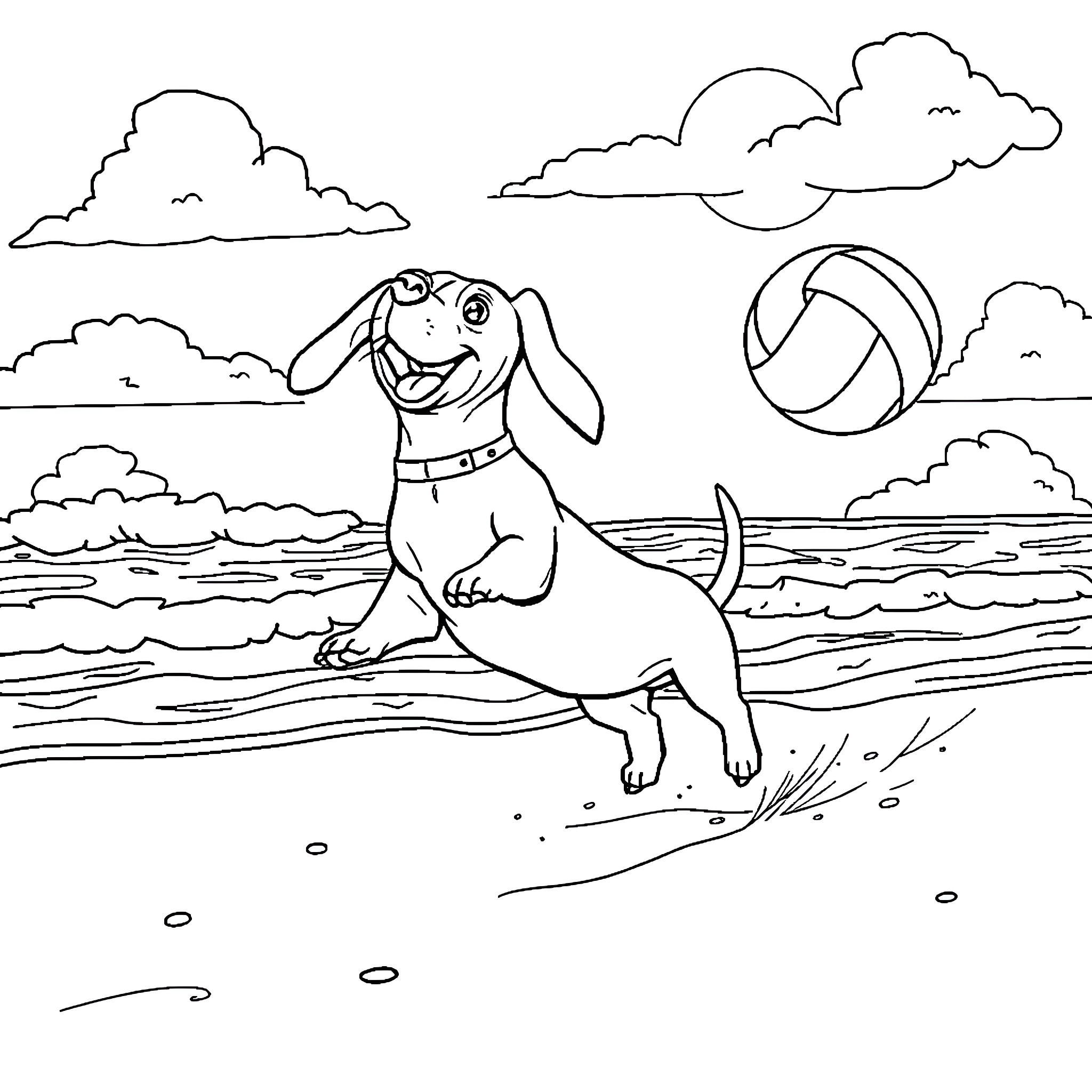 Dachshund playing joyfully with a beach ball Coloring Page (free black-and-white line drawing printable PDF for all, from beginners to advanced learners, including children, teens, adults, and seniors)