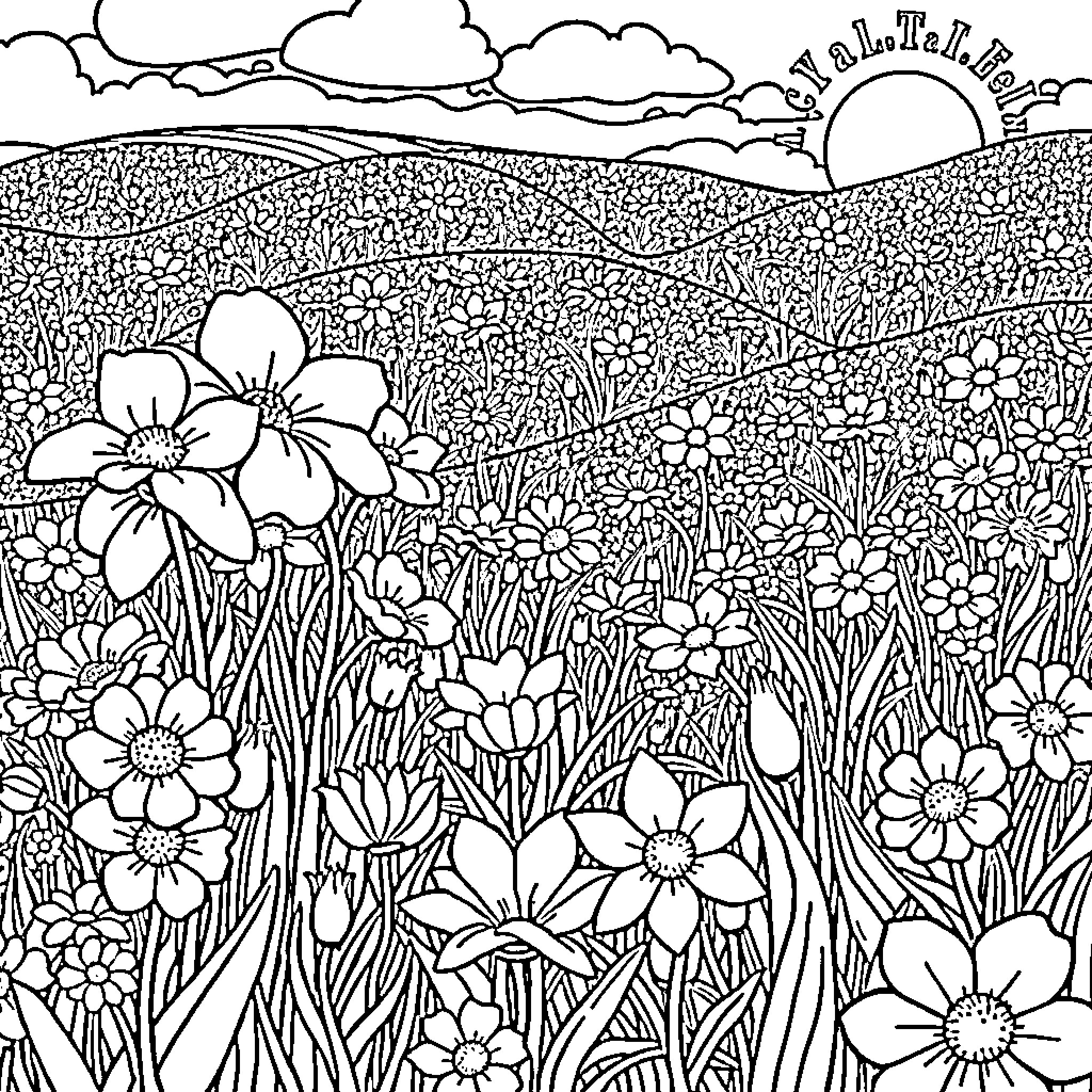 Flowering Field with Beautiful Blossoms Coloring Page (free black-and-white line drawing printable PDF for all, from beginners to advanced learners, including children, teens, adults, and seniors)