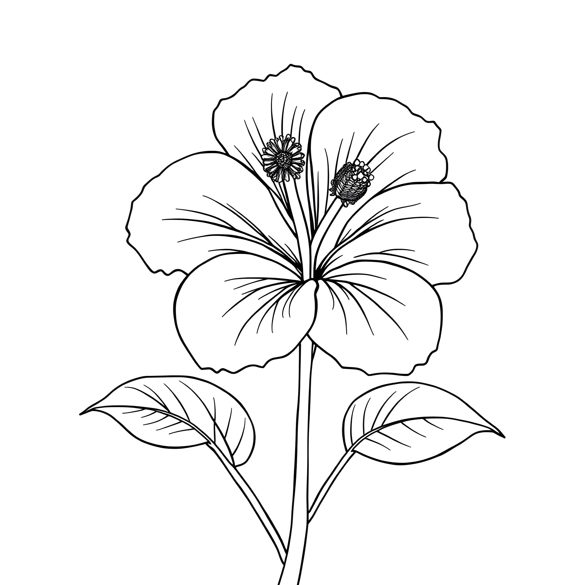 Hibiscus flower in black and white line art Coloring Page (free black-and-white line drawing printable PDF for all, from beginners to advanced learners, including children, teens, adults, and seniors)