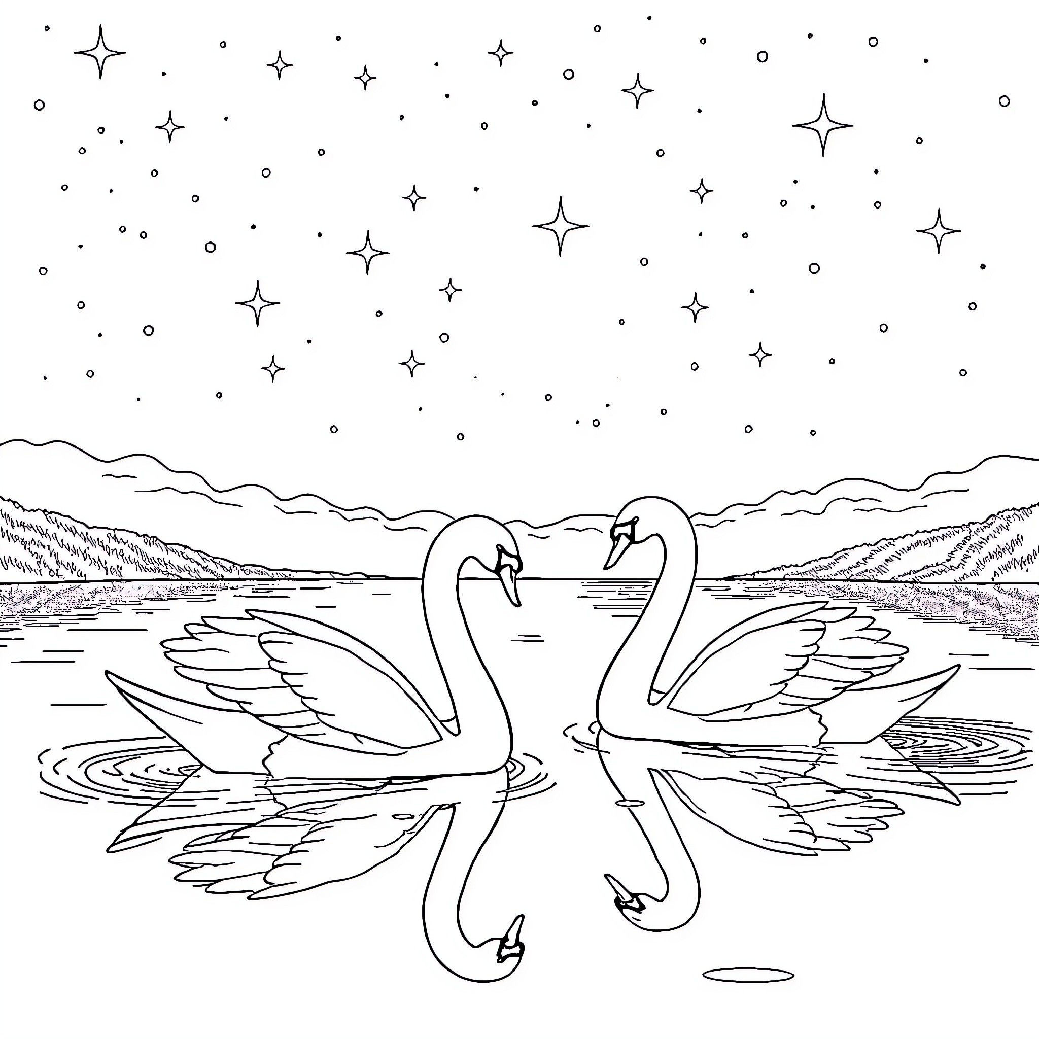 Swan couple swimming in a starry night lake Coloring Page (free black-and-white line drawing printable PDF for all, from beginners to advanced learners, including children, teens, adults, and seniors)