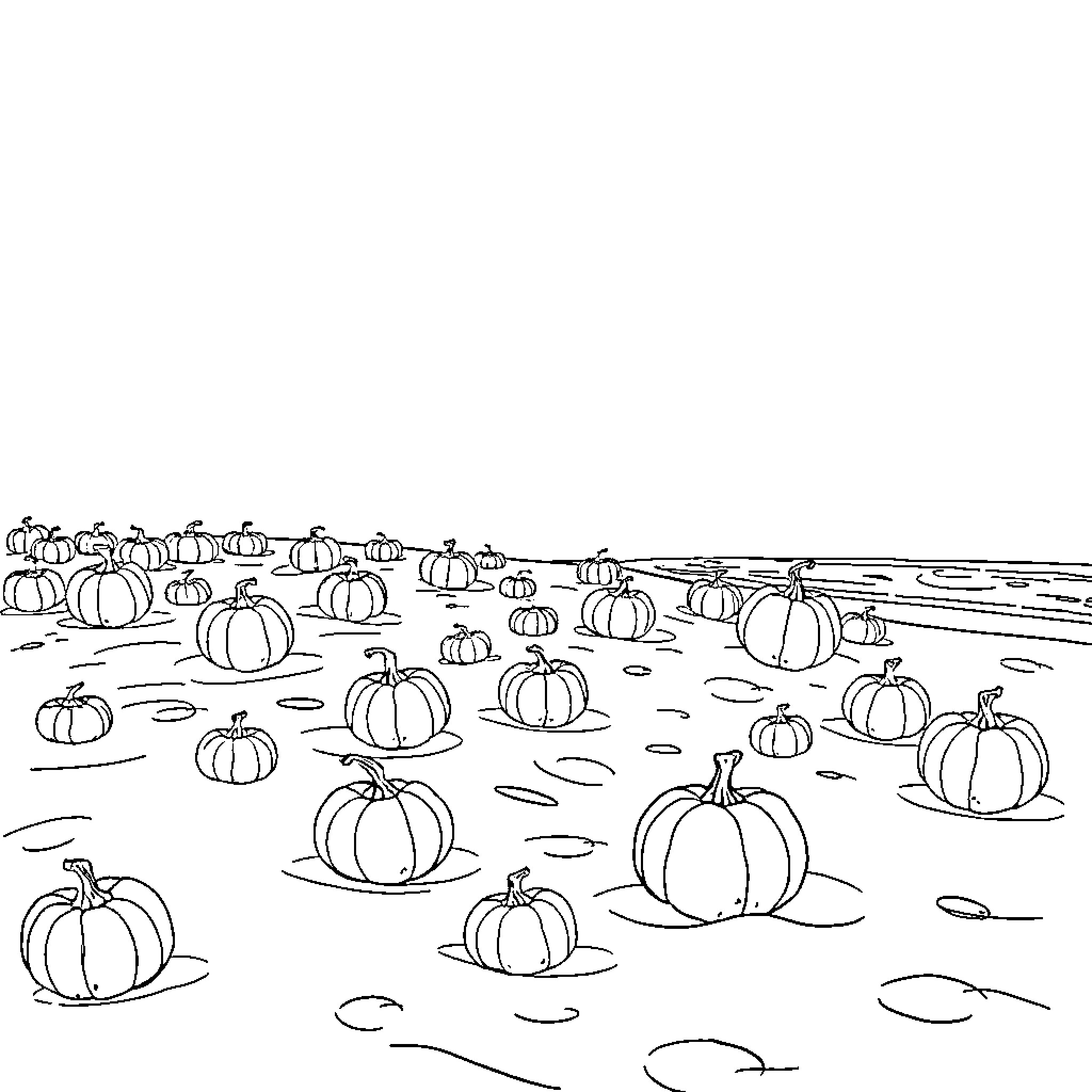 Pumpkins scattered across a field Coloring Page (free black-and-white line drawing printable PDF for all, from beginners to advanced learners, including children, teens, adults, and seniors)