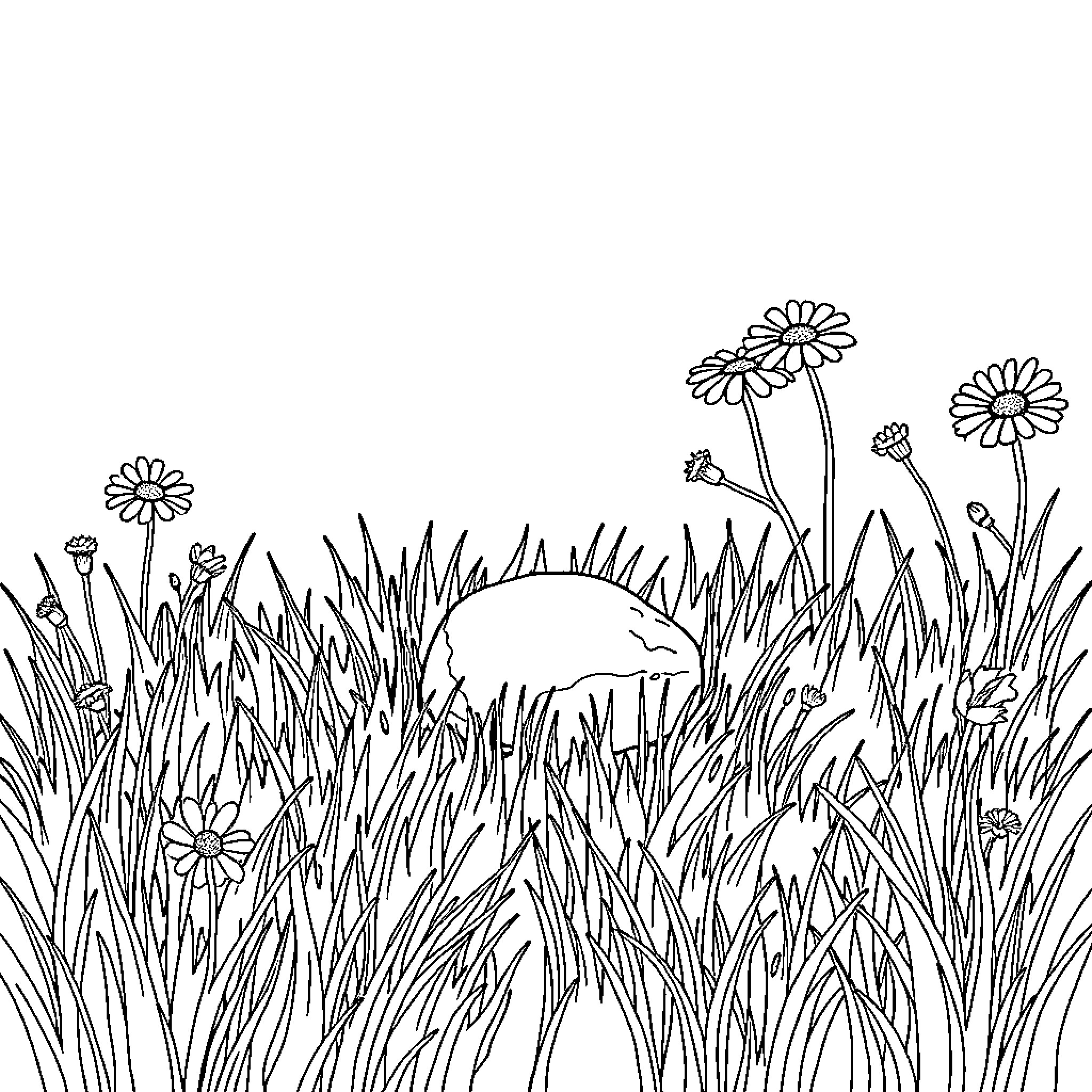Pebble in the Meadow of Daisies Coloring Page (free black-and-white line drawing printable PDF for all, from beginners to advanced learners, including children, teens, adults, and seniors)