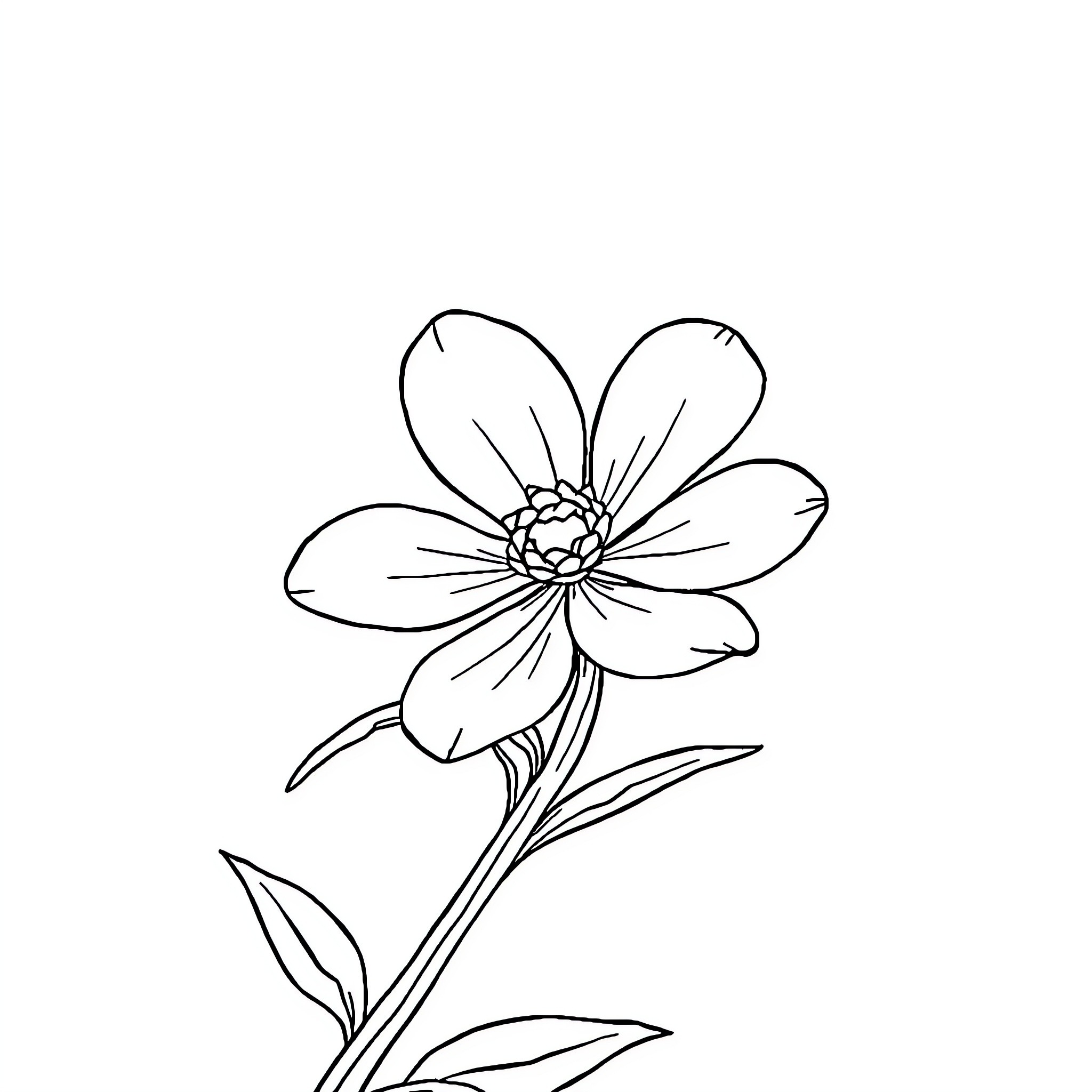 Daisy Flower in Simple Line Art Coloring Page (free black-and-white line drawing printable PDF for all, from beginners to advanced learners, including children, teens, adults, and seniors)