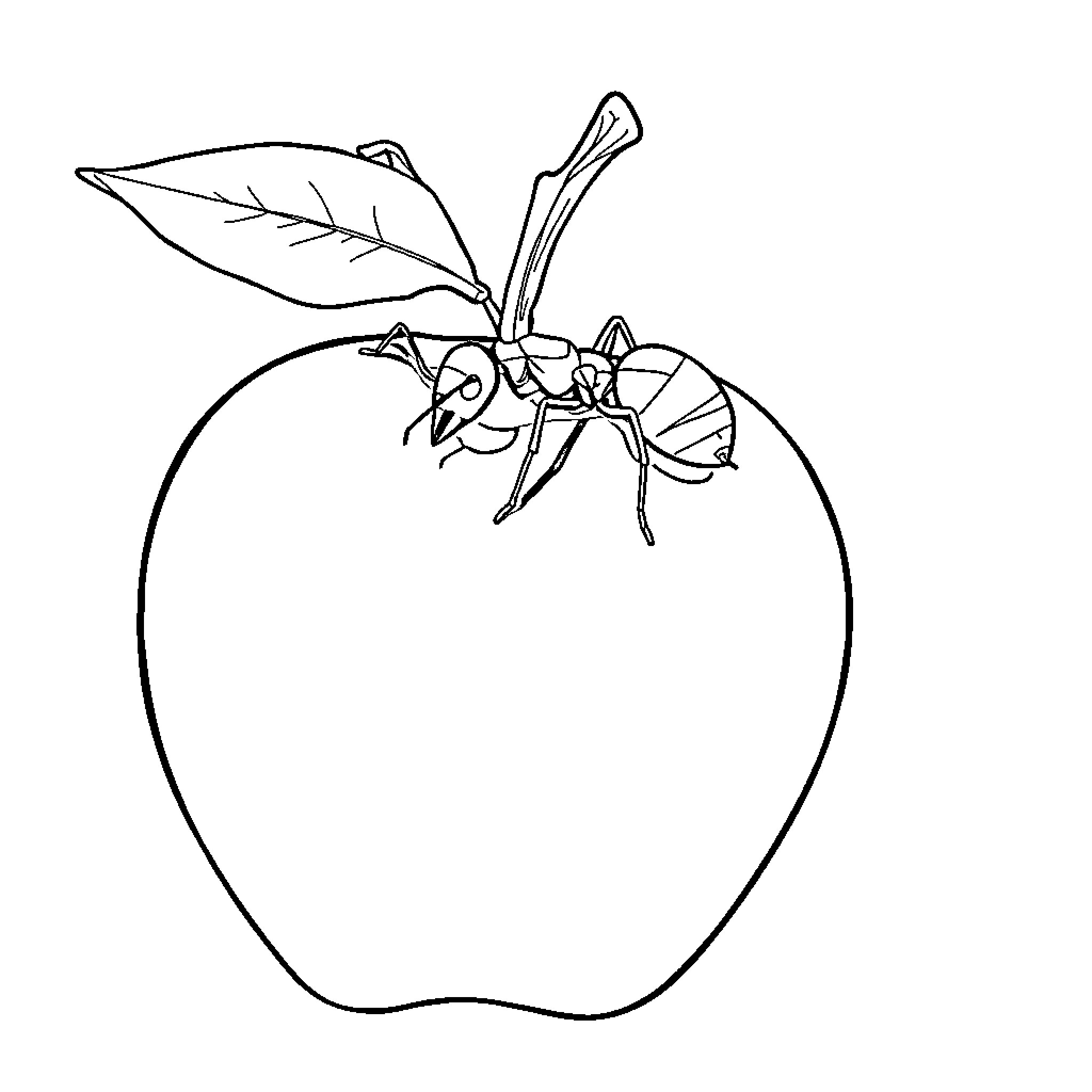Ant carrying leaf on apple Coloring Page (free black-and-white line drawing printable PDF for all, from beginners to advanced learners, including children, teens, adults, and seniors)