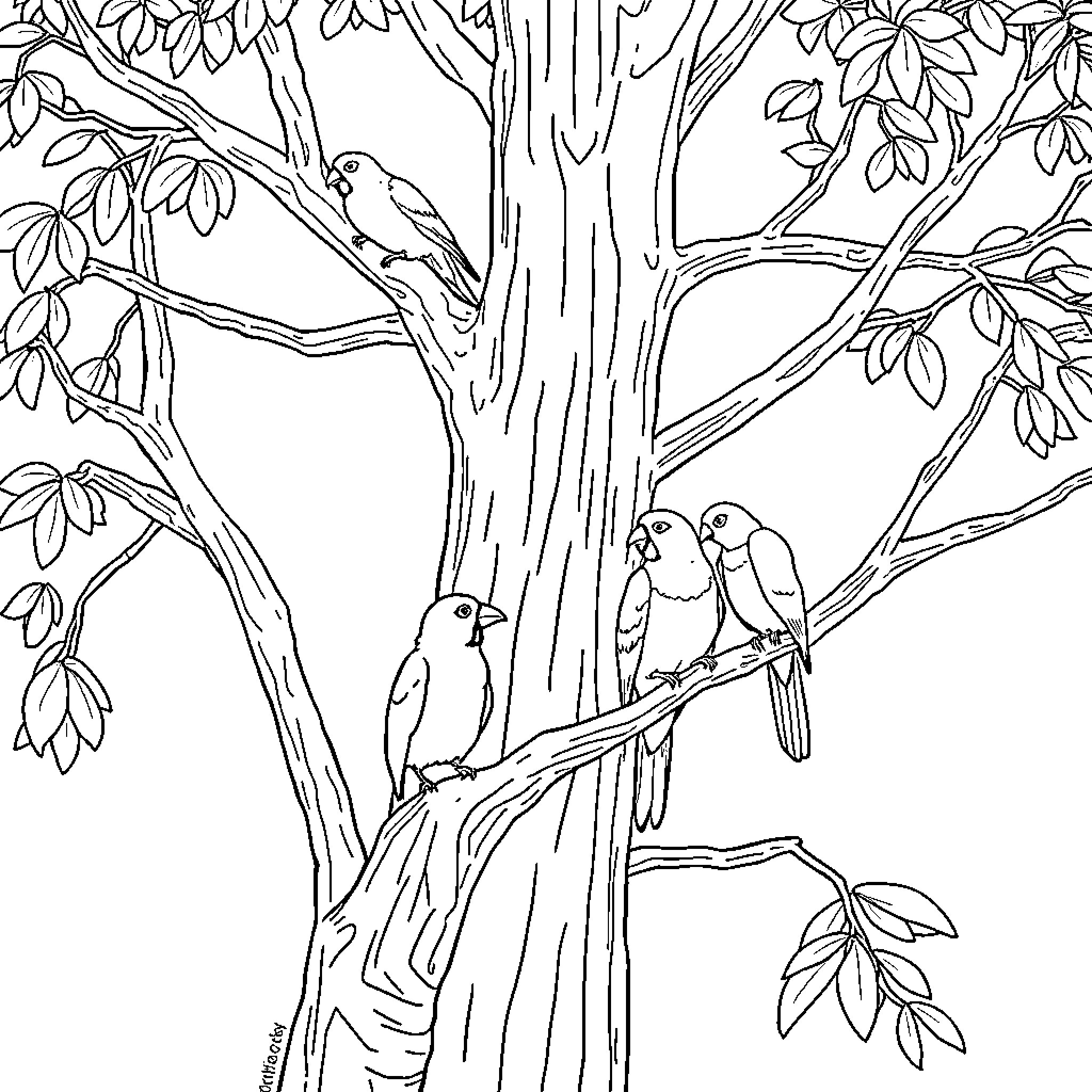 Bird friends perched on tree branches Coloring Page (free black-and-white line drawing printable PDF for all, from beginners to advanced learners, including children, teens, adults, and seniors)