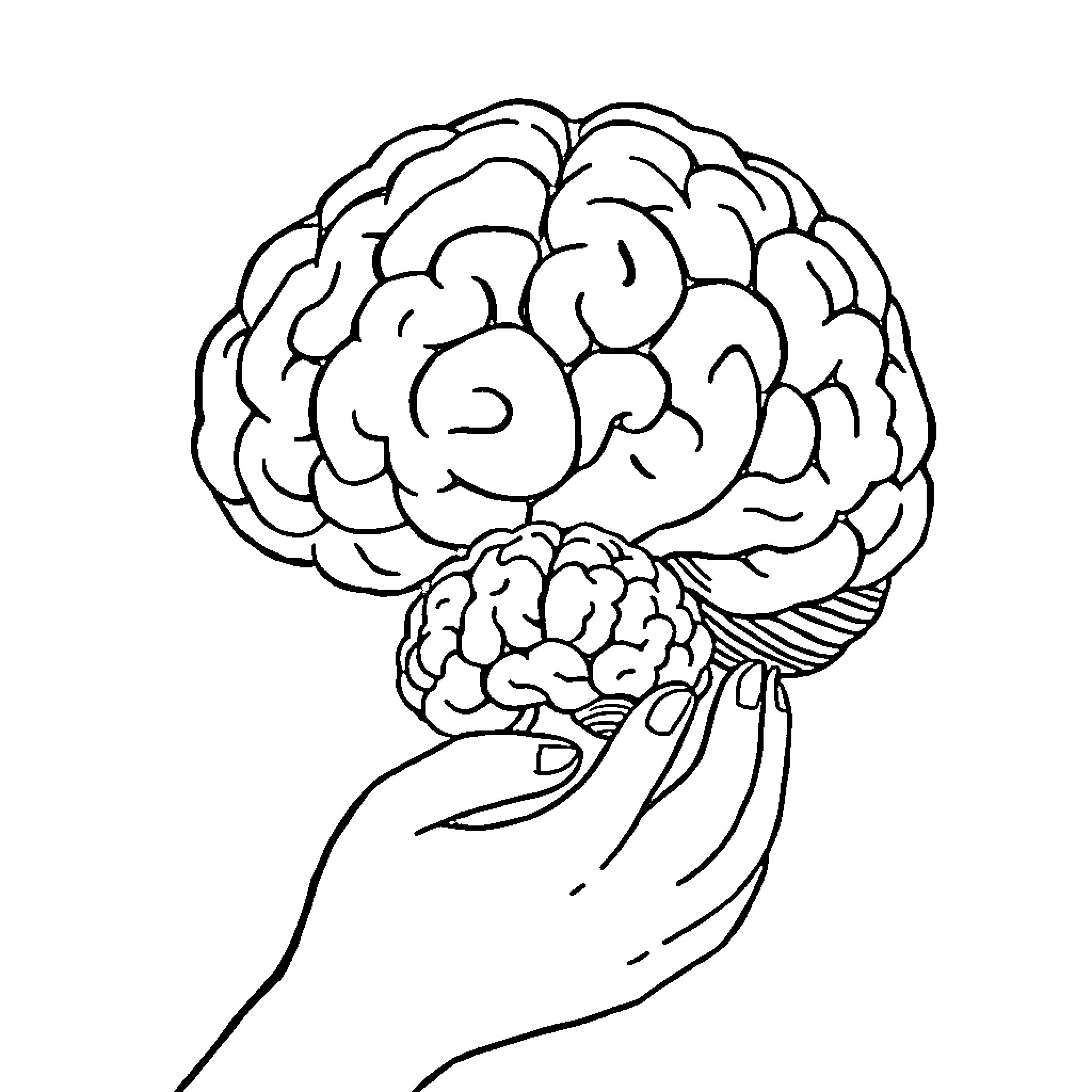 Brain held in supportive human hand Coloring Page (free black-and-white line drawing printable PDF for all, from beginners to advanced learners, including children, teens, adults, and seniors)