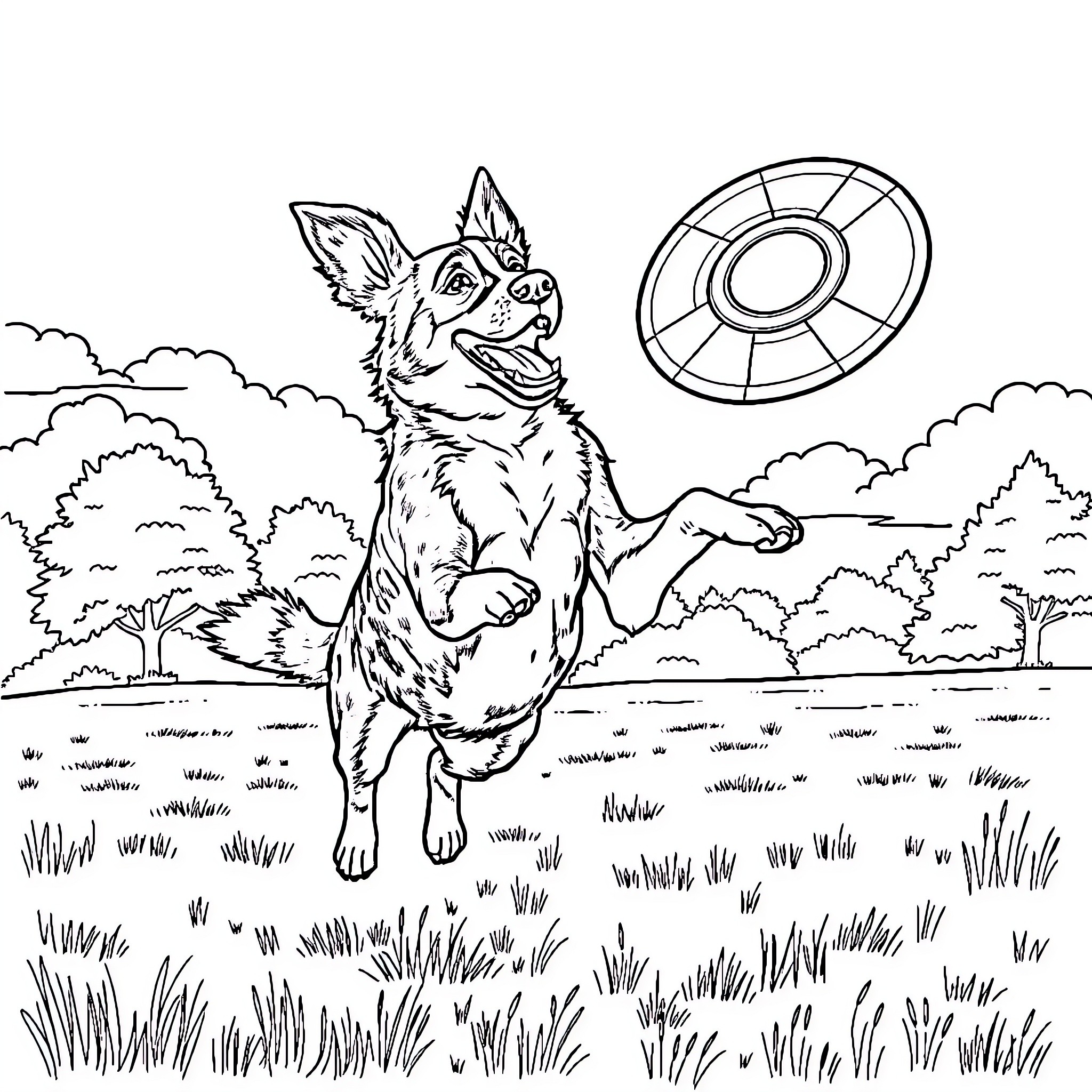 Blue Tick Heeler playing fetch in the park Coloring Page (free black-and-white line drawing printable PDF for all, from beginners to advanced learners, including children, teens, adults, and seniors)