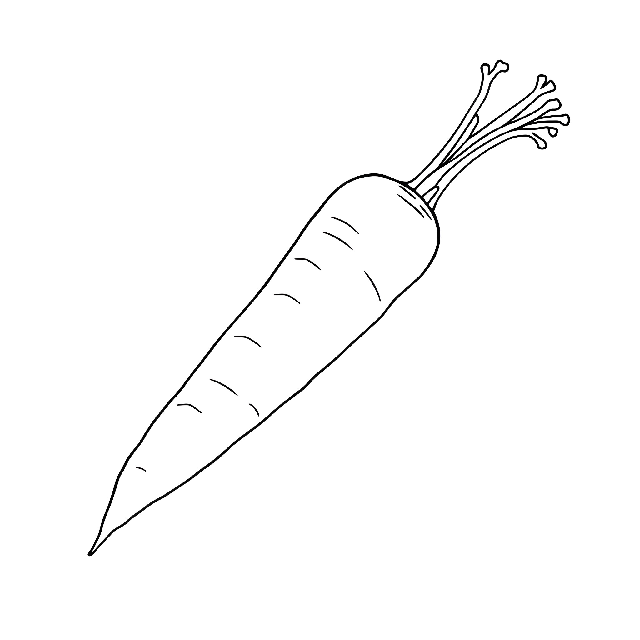 Carrot in simple line art Coloring Page (free black-and-white line drawing printable PDF for all, from beginners to advanced learners, including children, teens, adults, and seniors)