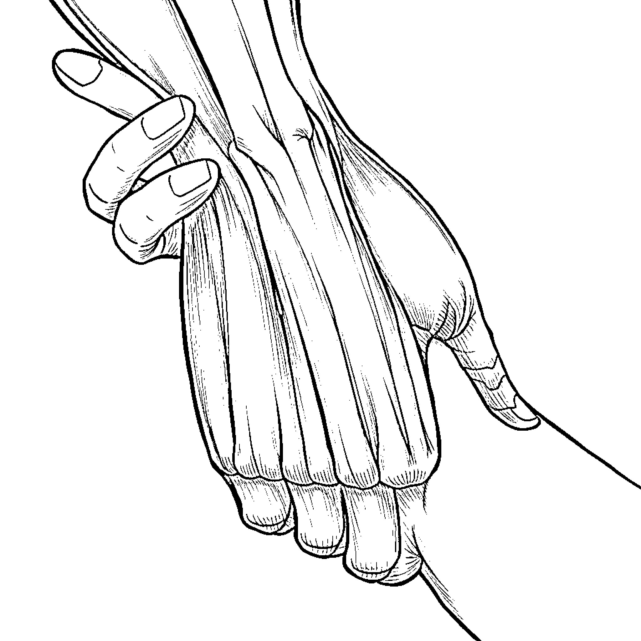 Muscle Flexing: A Detailed Drawing Coloring Page (free black-and-white line drawing printable PDF for all, from beginners to advanced learners, including children, teens, adults, and seniors)
