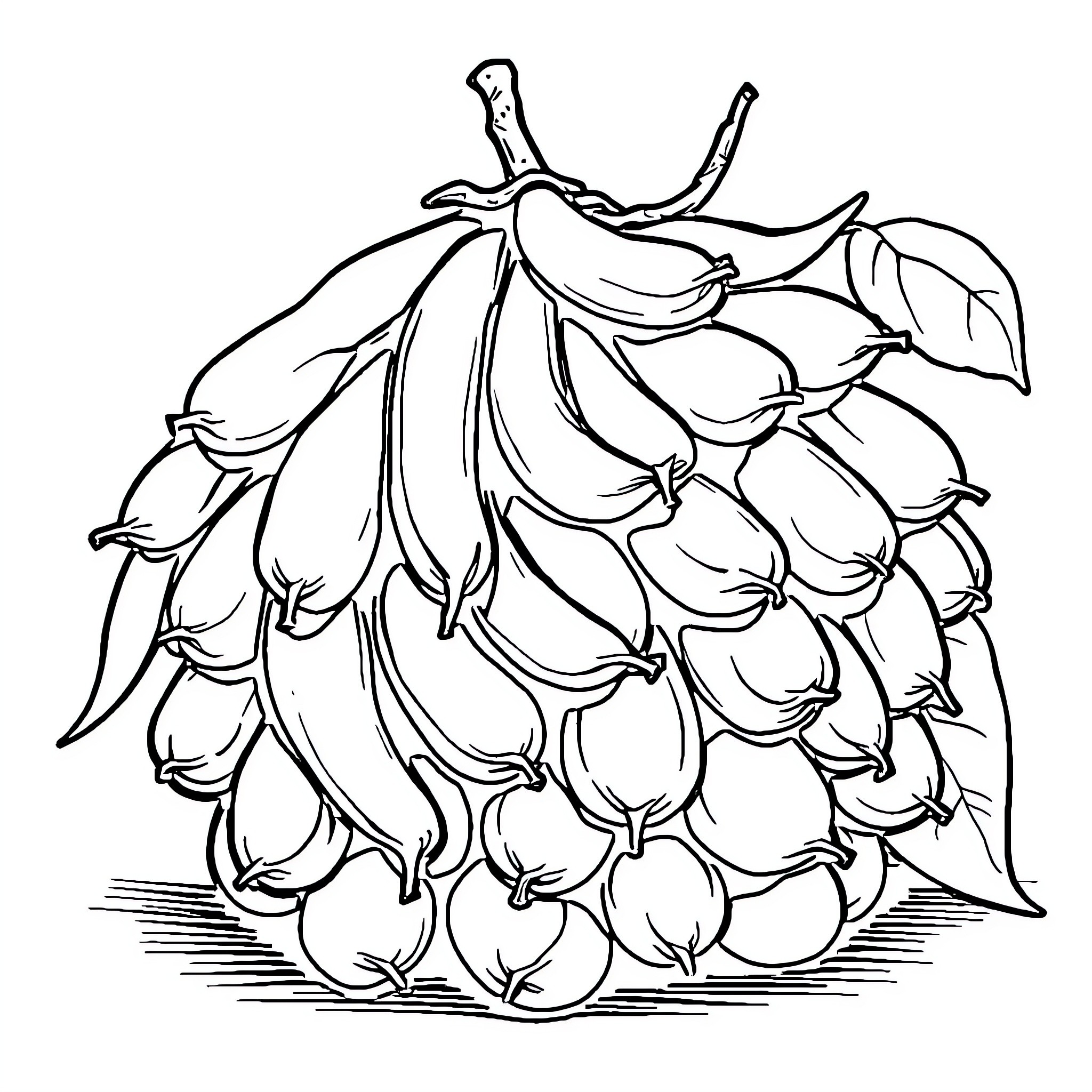 Cluster Bean Flower Bouquet Coloring Page (free black-and-white line drawing printable PDF for all, from beginners to advanced learners, including children, teens, adults, and seniors)