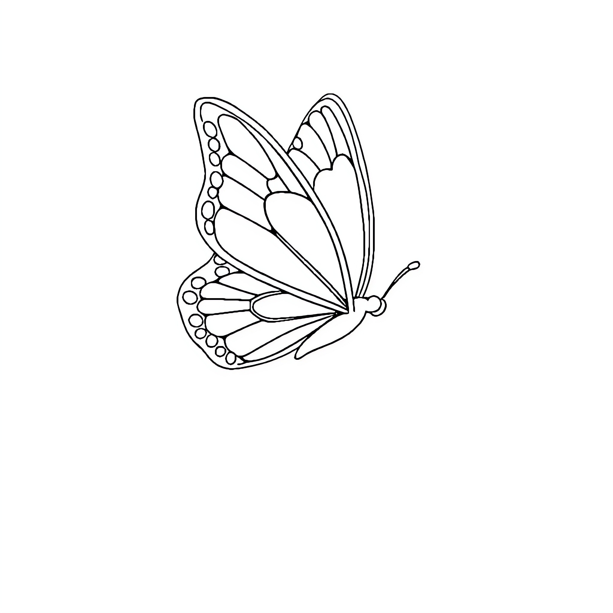 Butterfly in Flight Coloring Page (free black-and-white line drawing printable PDF for all, from beginners to advanced learners, including children, teens, adults, and seniors)