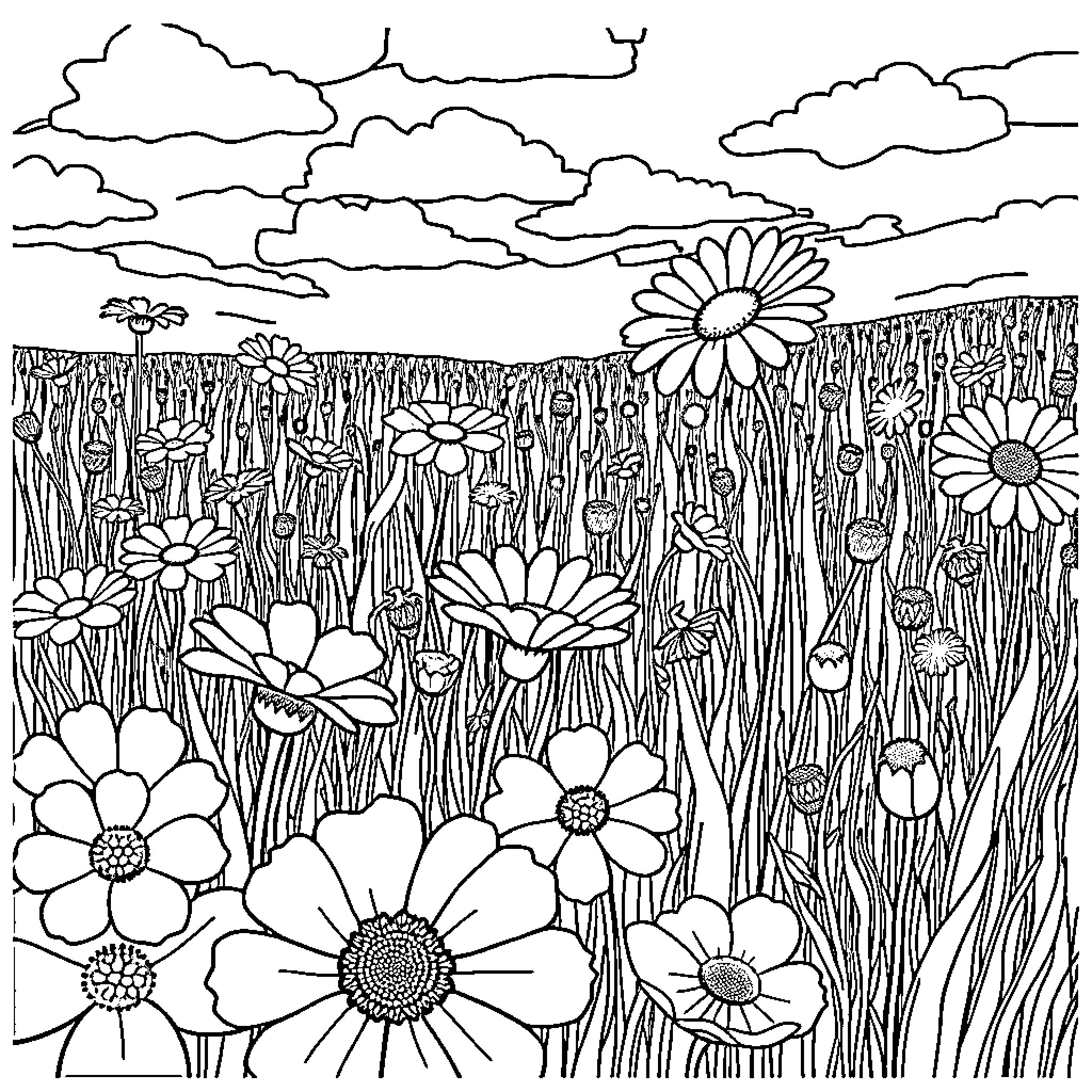 Wildflower meadow with blooming daisies and clouds Coloring Page (free black-and-white line drawing printable PDF for all, from beginners to advanced learners, including children, teens, adults, and seniors)