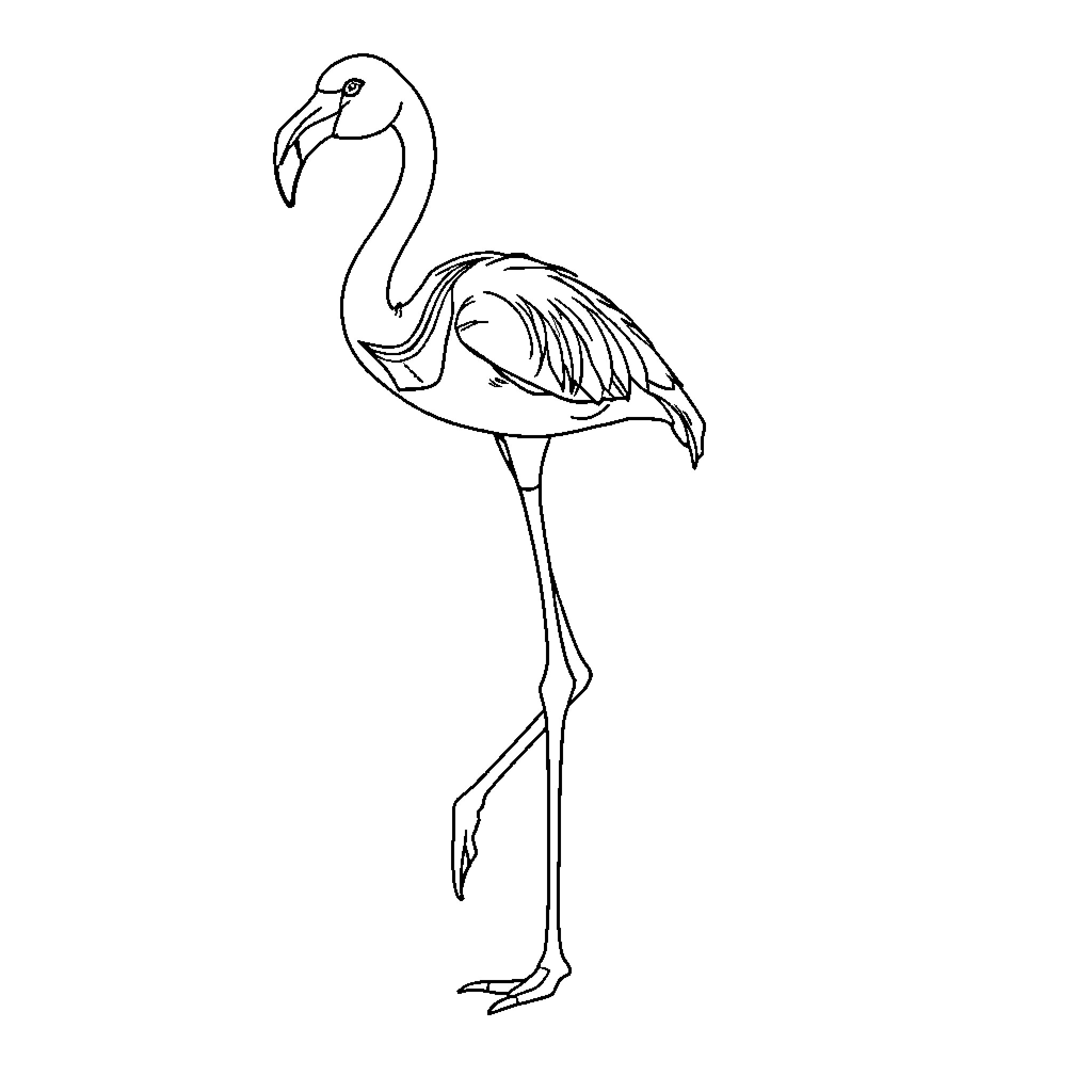 Flamingo standing elegantly on a single leg Coloring Page (free black-and-white line drawing printable PDF for all, from beginners to advanced learners, including children, teens, adults, and seniors)