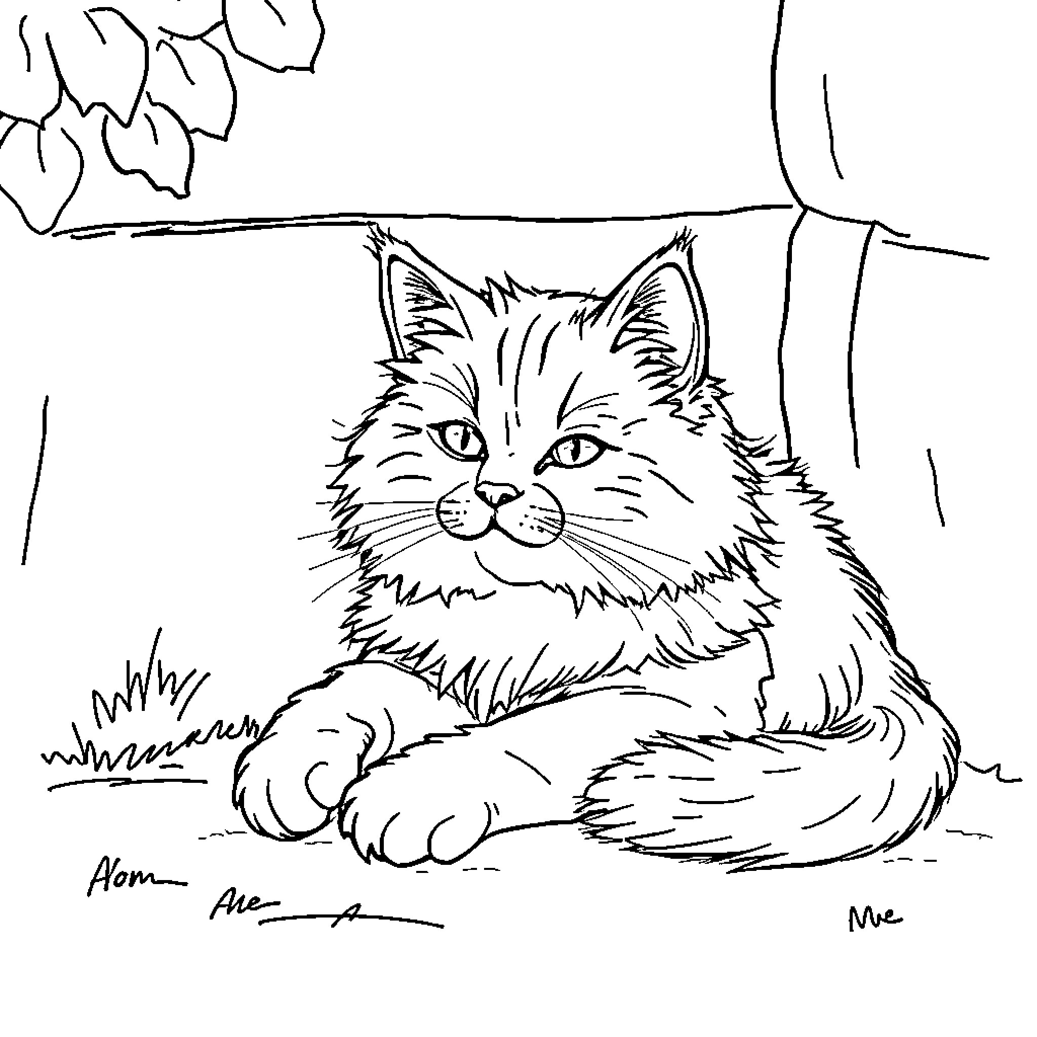 Cat resting calmly in a natural setting Coloring Page (free black-and-white line drawing printable PDF for all, from beginners to advanced learners, including children, teens, adults, and seniors)