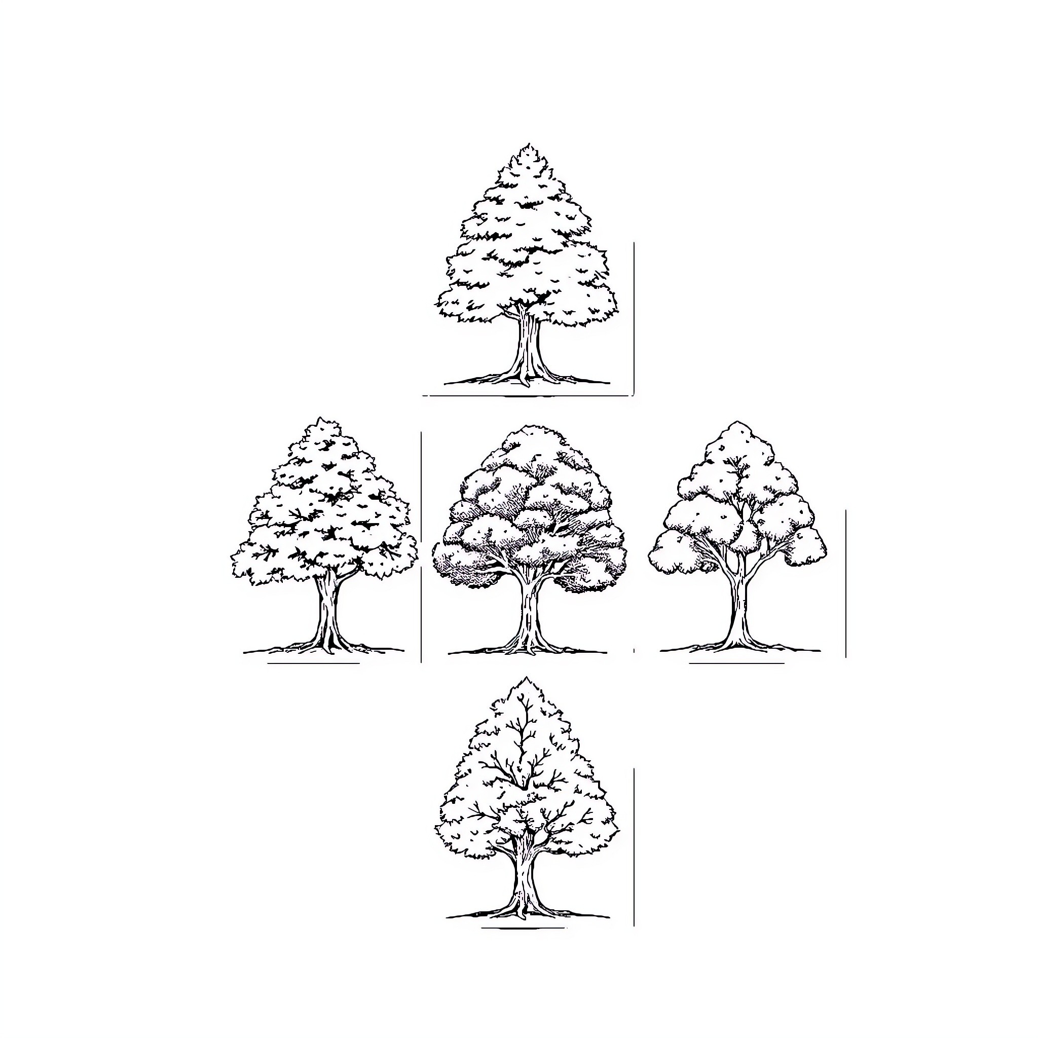 Tree sketches depicting various shapes and styles Coloring Page (free black-and-white line drawing printable PDF for all, from beginners to advanced learners, including children, teens, adults, and seniors)