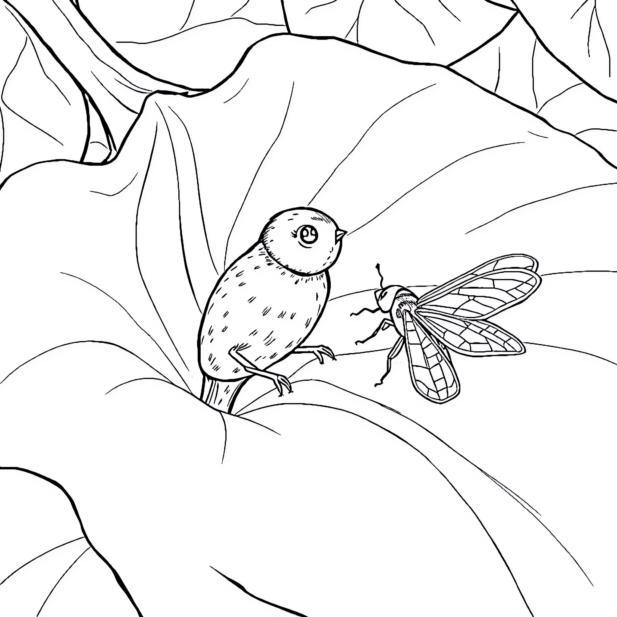Frog and dragonfly in the natural environment Coloring Page (free black-and-white line drawing printable PDF for all, from beginners to advanced learners, including children, teens, adults, and seniors)