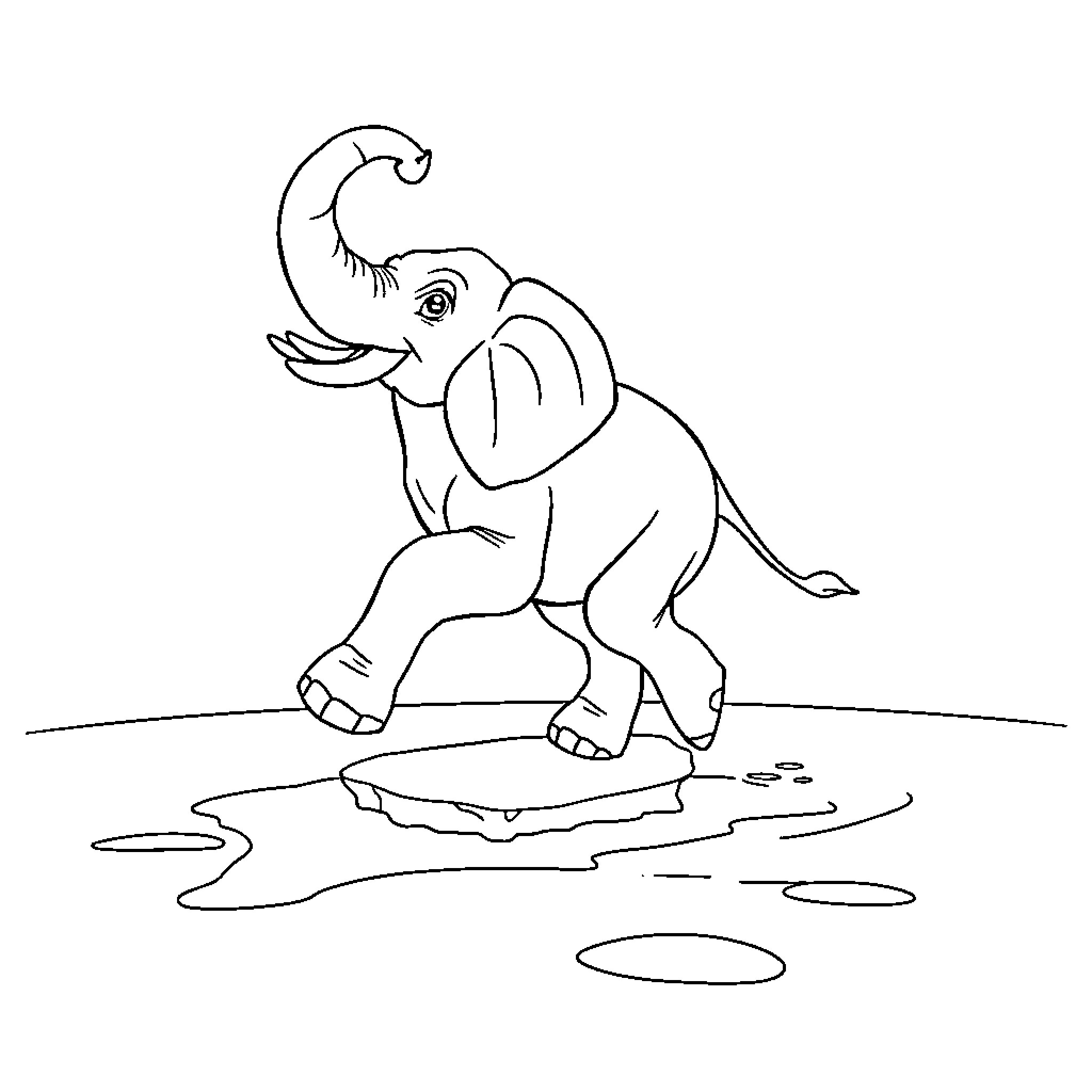 Elephant playing in a puddle Coloring Page (free black-and-white line drawing printable PDF for all, from beginners to advanced learners, including children, teens, adults, and seniors)