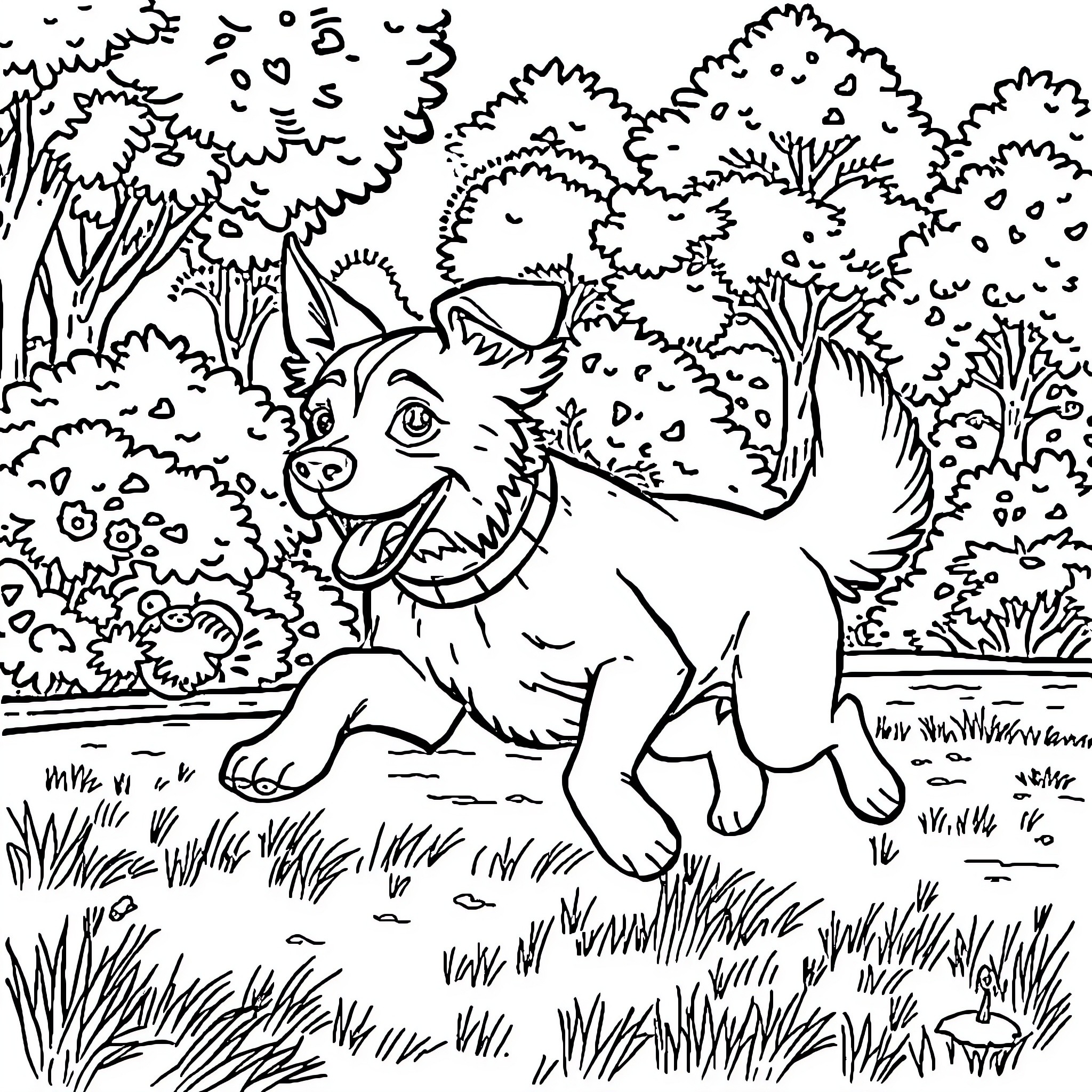 Dog joyfully running through nature Coloring Page (free black-and-white line drawing printable PDF for all, from beginners to advanced learners, including children, teens, adults, and seniors)