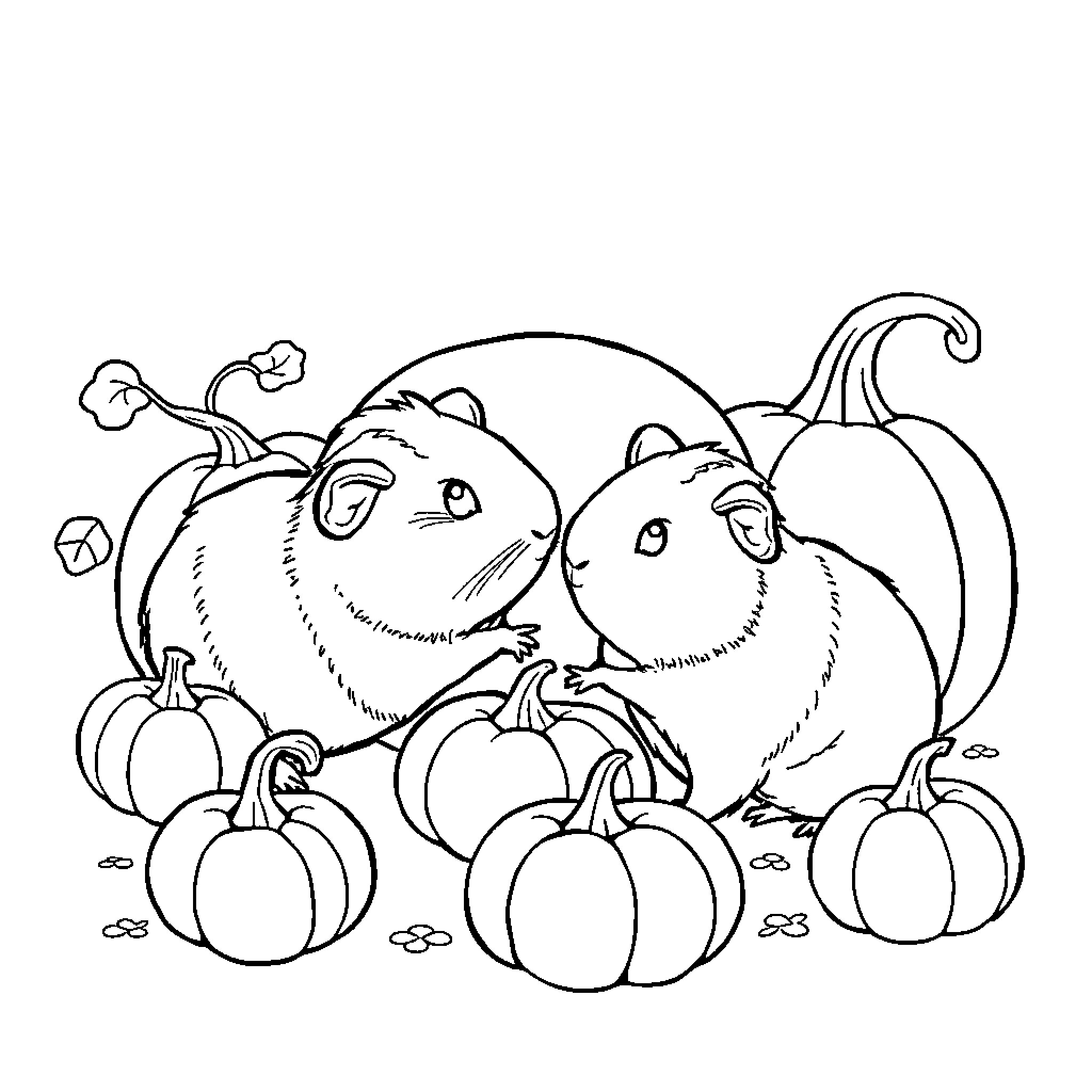 Guinea Pigs enjoying pumpkins in autumn Coloring Page (free black-and-white line drawing printable PDF for all, from beginners to advanced learners, including children, teens, adults, and seniors)