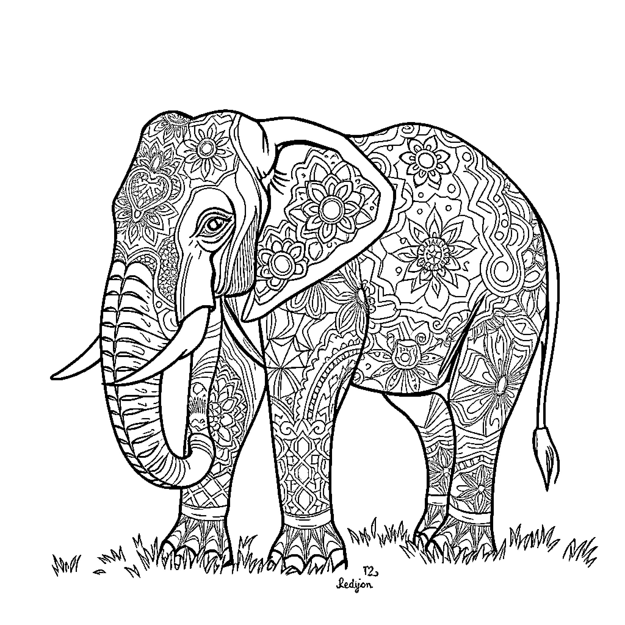Elephant adorned with intricate floral patterns Coloring Page (free black-and-white line drawing printable PDF for all, from beginners to advanced learners, including children, teens, adults, and seniors)