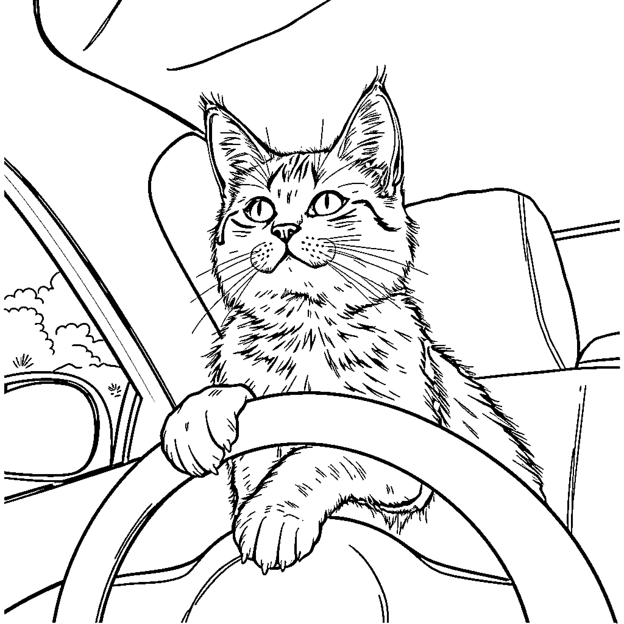 Gato driving a car with focus Coloring Page (free black-and-white line drawing printable PDF for all, from beginners to advanced learners, including children, teens, adults, and seniors)