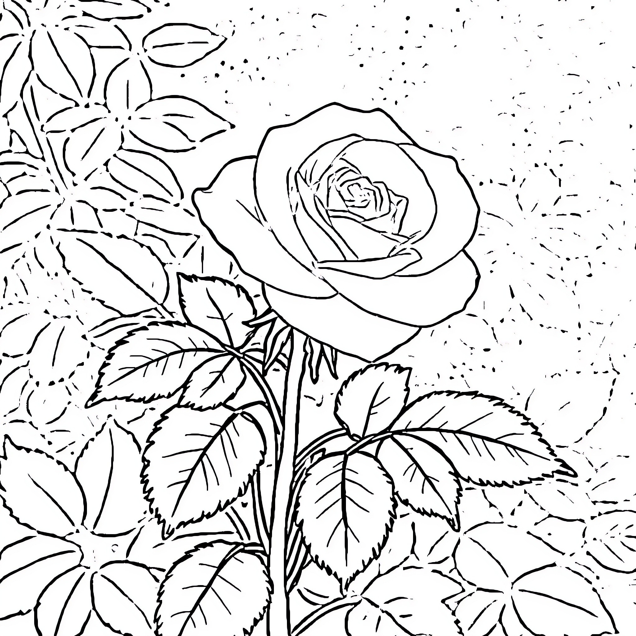 Rose blooming amidst floral backdrop Coloring Page (free black-and-white line drawing printable PDF for all, from beginners to advanced learners, including children, teens, adults, and seniors)