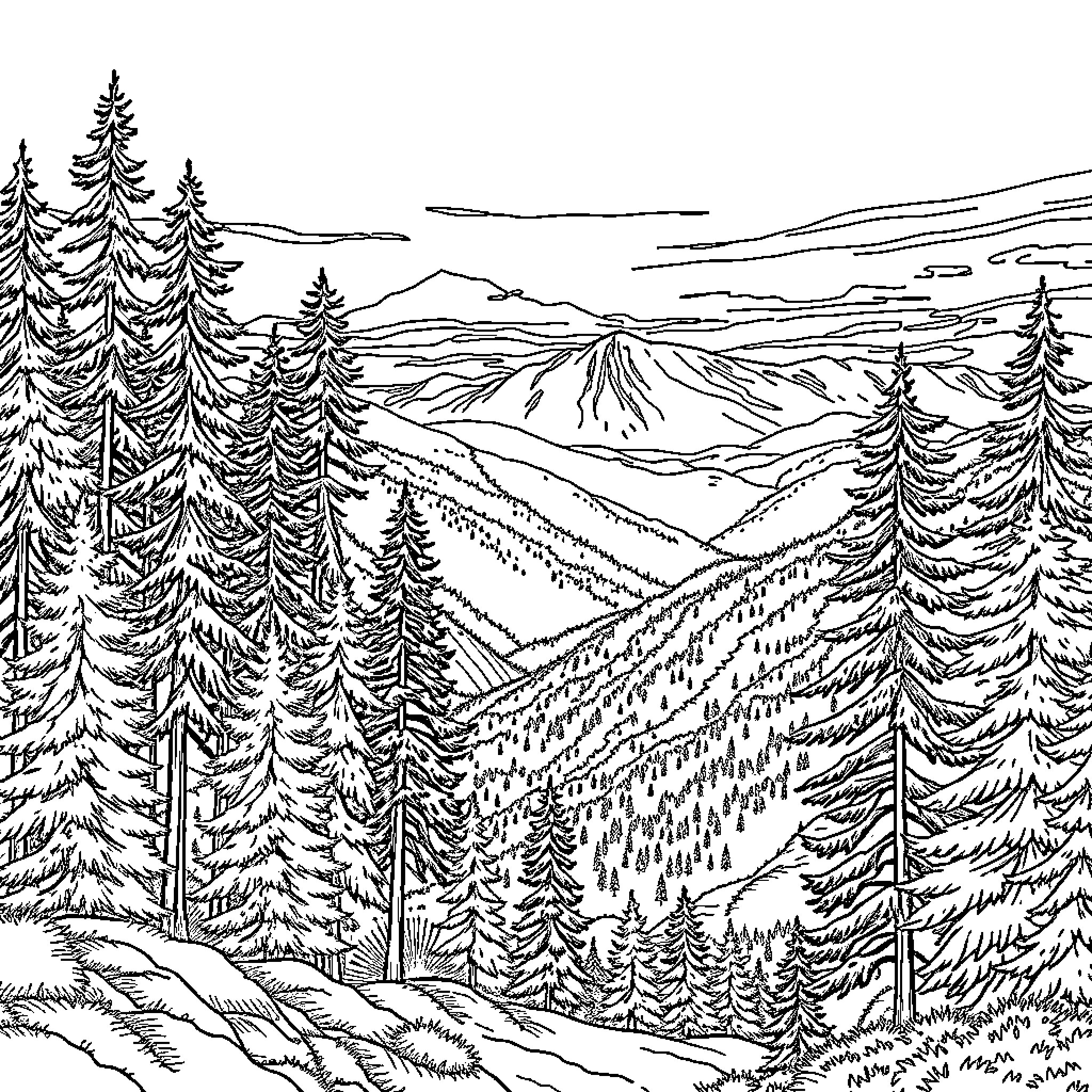 Mountain Landscape with Snowy Peaks and Evergreen Trees Coloring Page (free black-and-white line drawing printable PDF for all, from beginners to advanced learners, including children, teens, adults, and seniors)