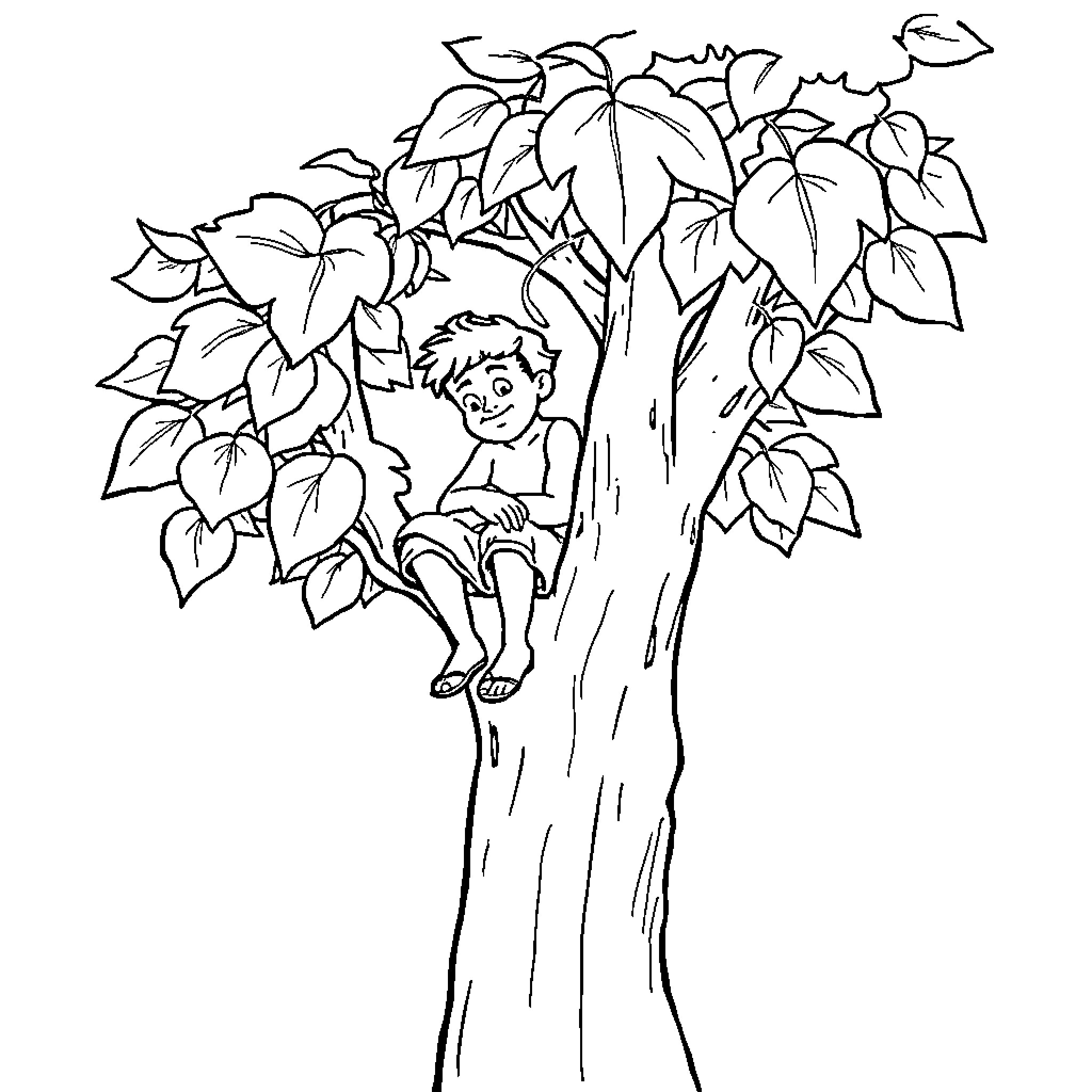 Zaccheus climbing a tree to see Jesus Coloring Page (free black-and-white line drawing printable PDF for all, from beginners to advanced learners, including children, teens, adults, and seniors)
