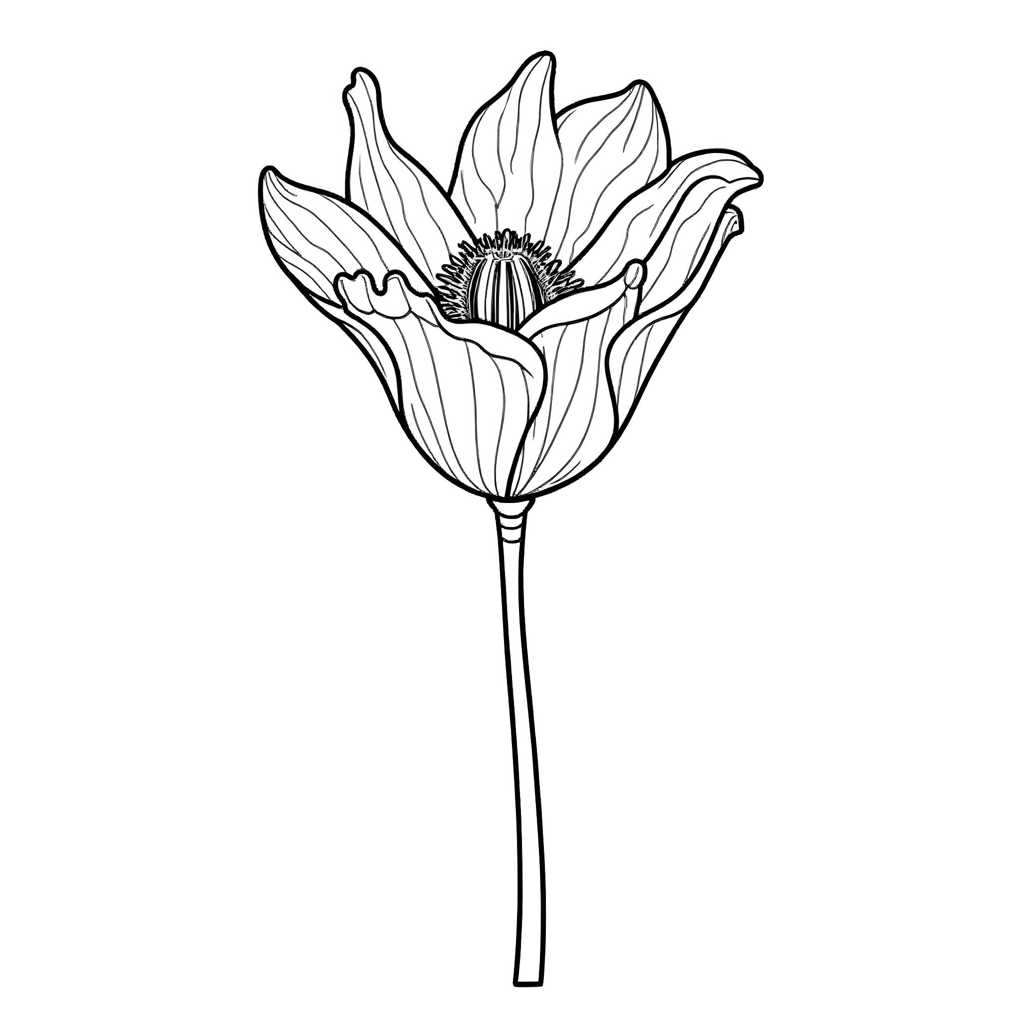 Skeleton Flower in Detailed Monochrome Illustration Coloring Page (free black-and-white line drawing printable PDF for all, from beginners to advanced learners, including children, teens, adults, and seniors)