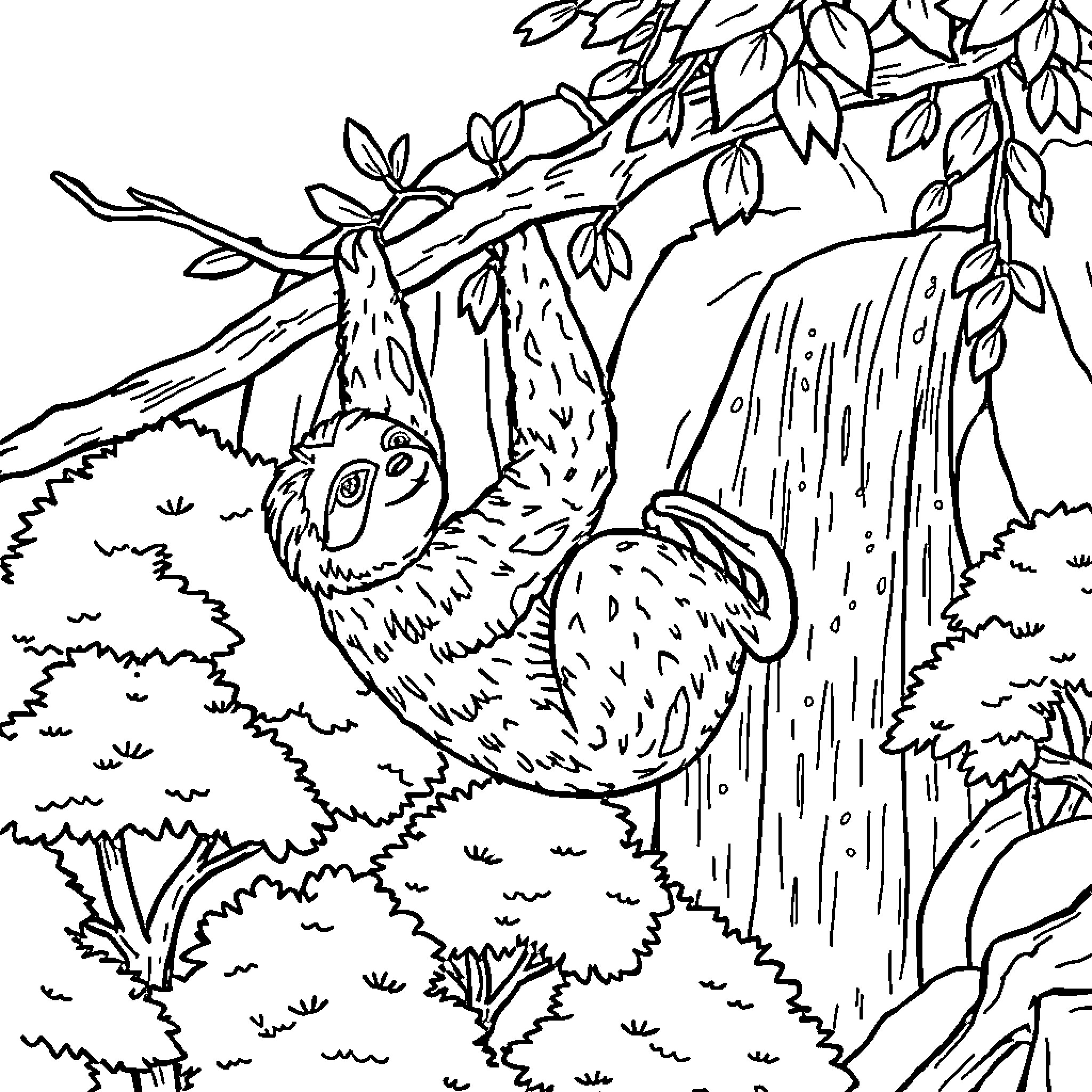 Sloth hanging on tree branch in forest Coloring Page (free black-and-white line drawing printable PDF for all, from beginners to advanced learners, including children, teens, adults, and seniors)