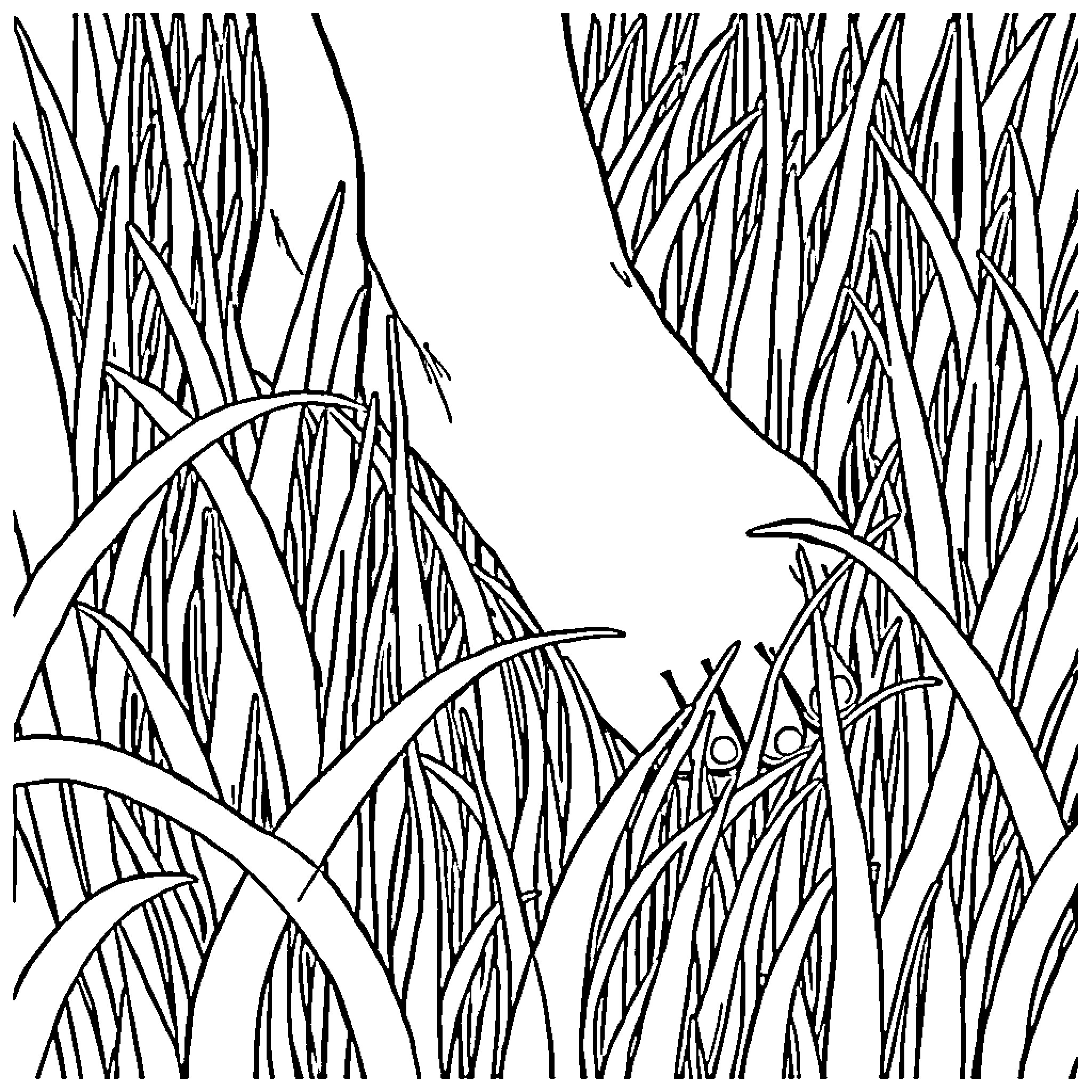 Foot-shaped grass in abstract patterns Coloring Page (free black-and-white line drawing printable PDF for all, from beginners to advanced learners, including children, teens, adults, and seniors)