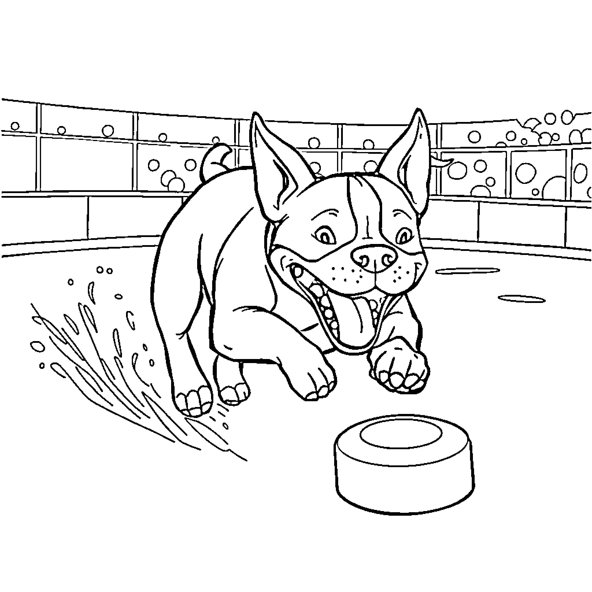 Pit Bull Playing Happily with Toy Coloring Page (free black-and-white line drawing printable PDF for all, from beginners to advanced learners, including children, teens, adults, and seniors)