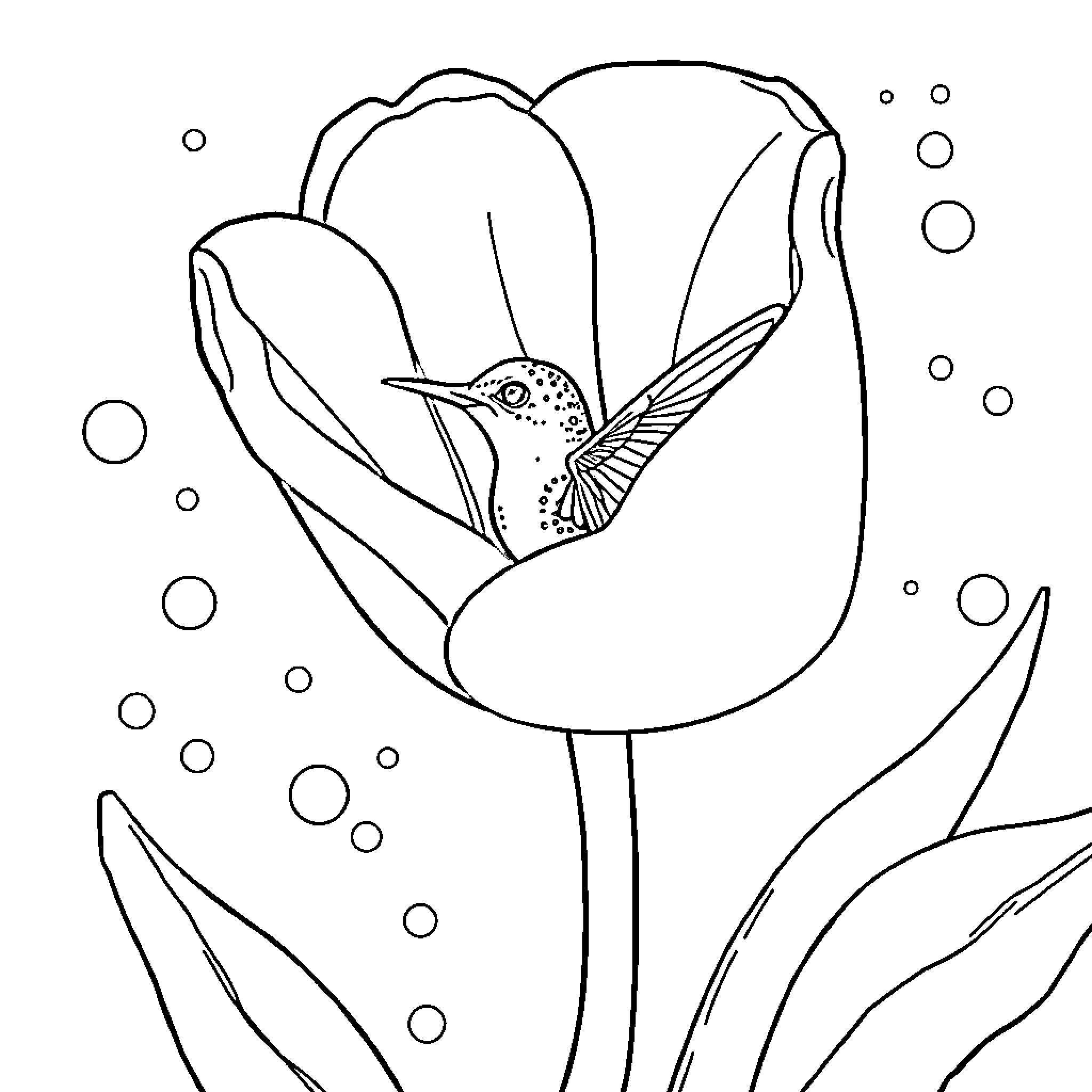 Hummingbird perched inside a tulip flower Coloring Page (free black-and-white line drawing printable PDF for all, from beginners to advanced learners, including children, teens, adults, and seniors)