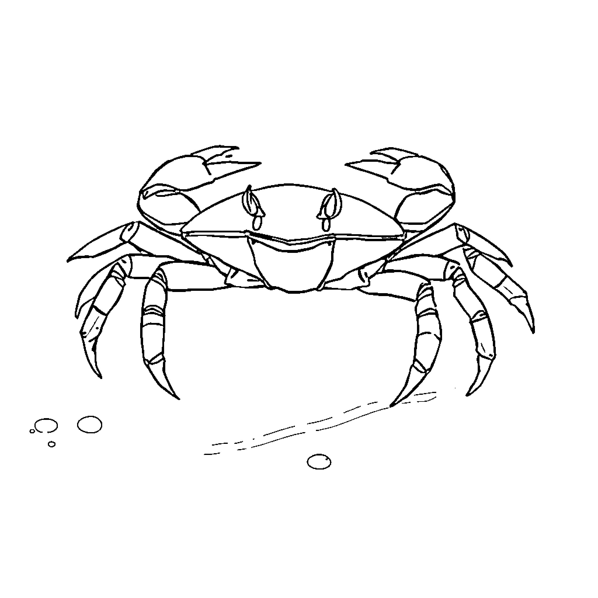 Crab scurrying across the sand Coloring Page (free black-and-white line drawing printable PDF for all, from beginners to advanced learners, including children, teens, adults, and seniors)