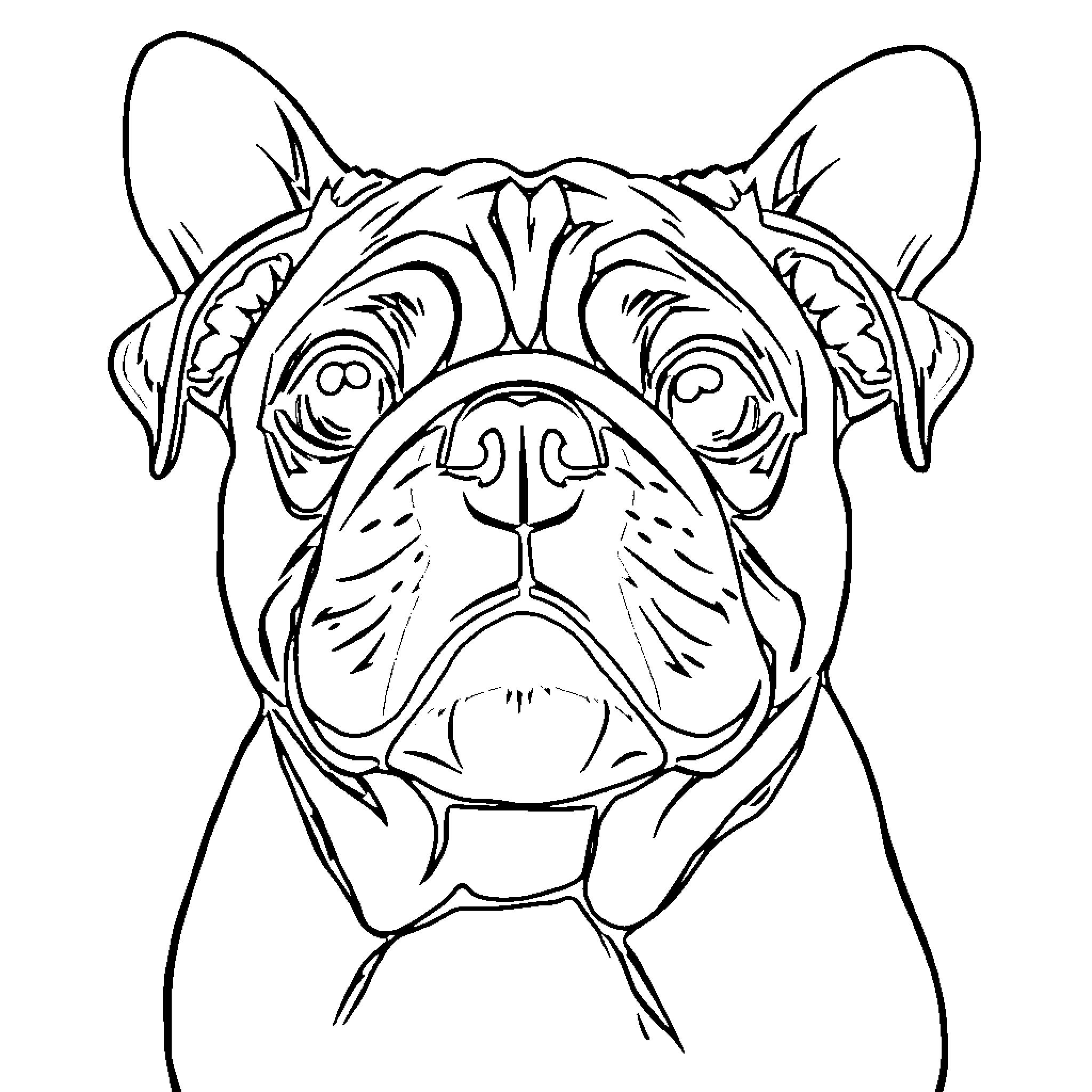Pug with expressive features and detailed outline Coloring Page (free black-and-white line drawing printable PDF for all, from beginners to advanced learners, including children, teens, adults, and seniors)