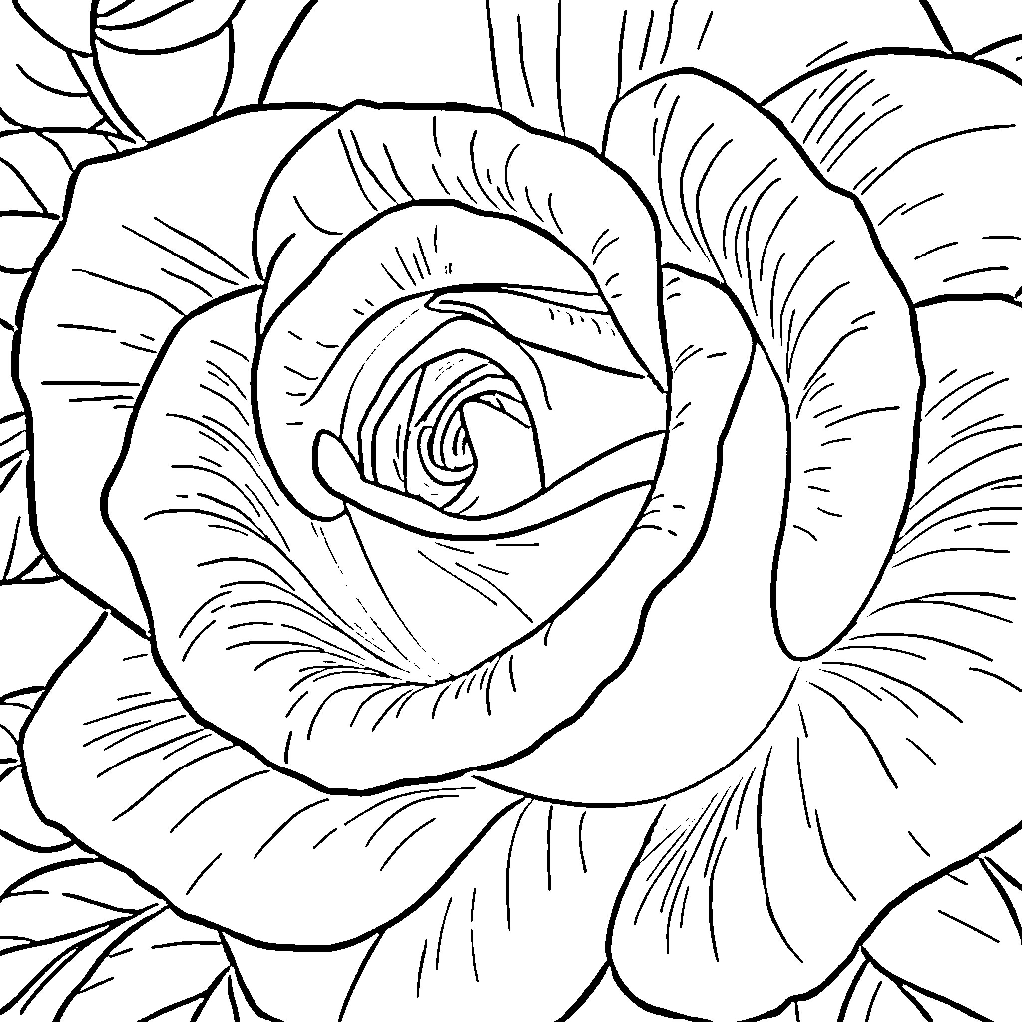 Rose with intricate petal patterns Coloring Page (free black-and-white line drawing printable PDF for all, from beginners to advanced learners, including children, teens, adults, and seniors)