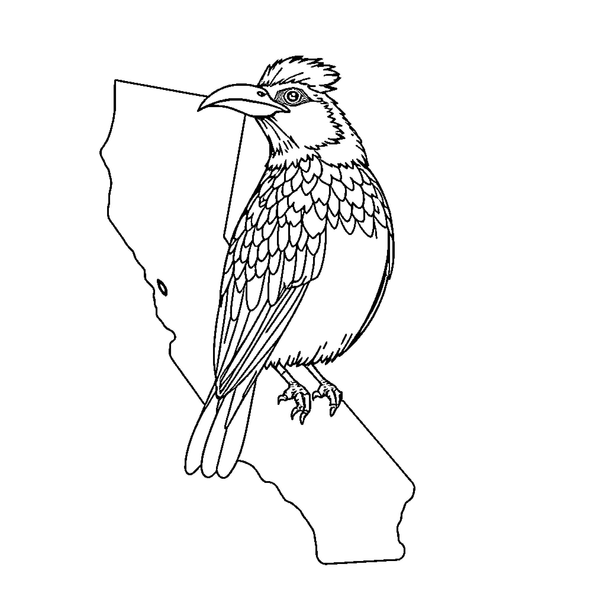Huelga Bird Perched on California State Outline Coloring Page (free black-and-white line drawing printable PDF for all, from beginners to advanced learners, including children, teens, adults, and seniors)