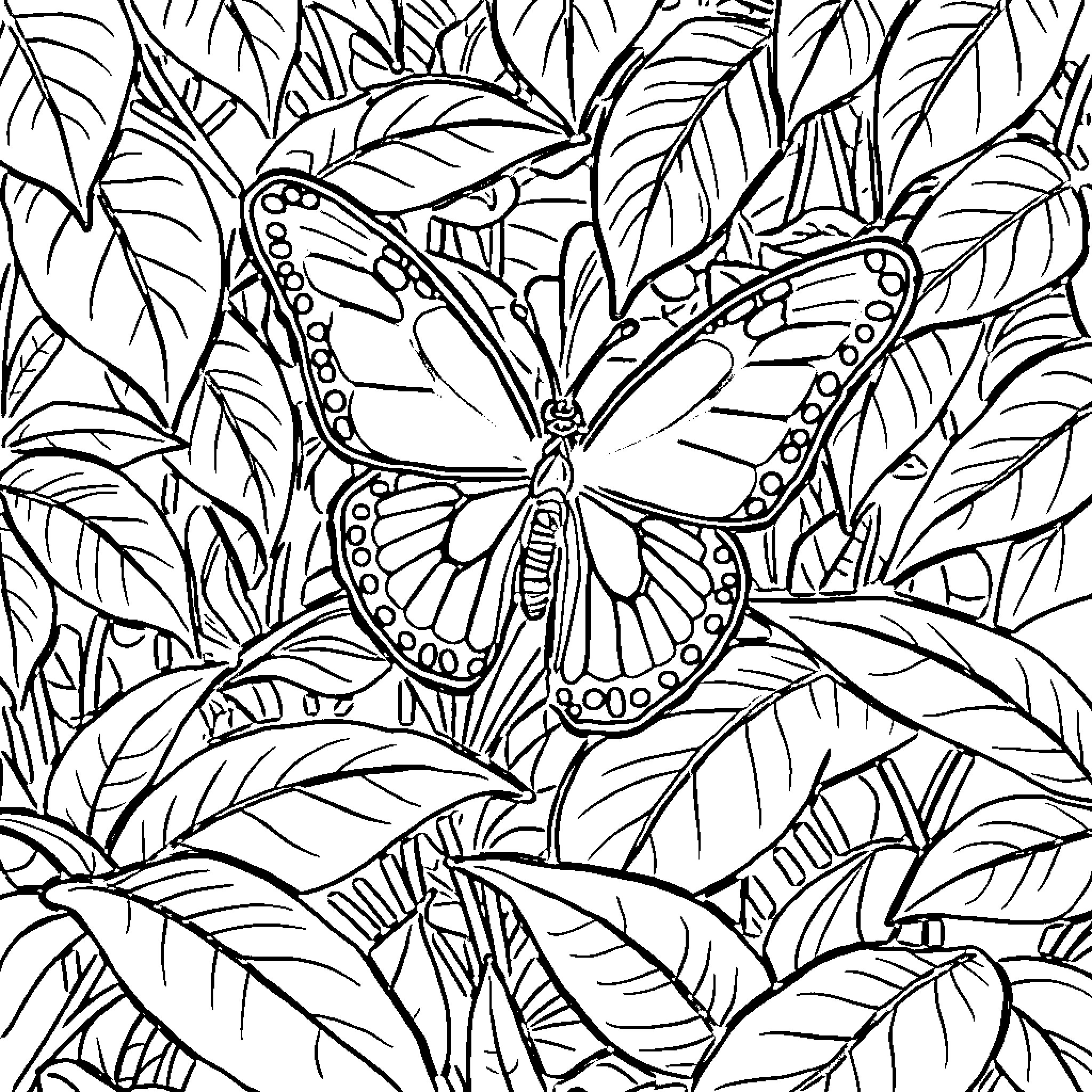 Butterfly Amid Lush Foliage Coloring Page (free black-and-white line drawing printable PDF for all, from beginners to advanced learners, including children, teens, adults, and seniors)