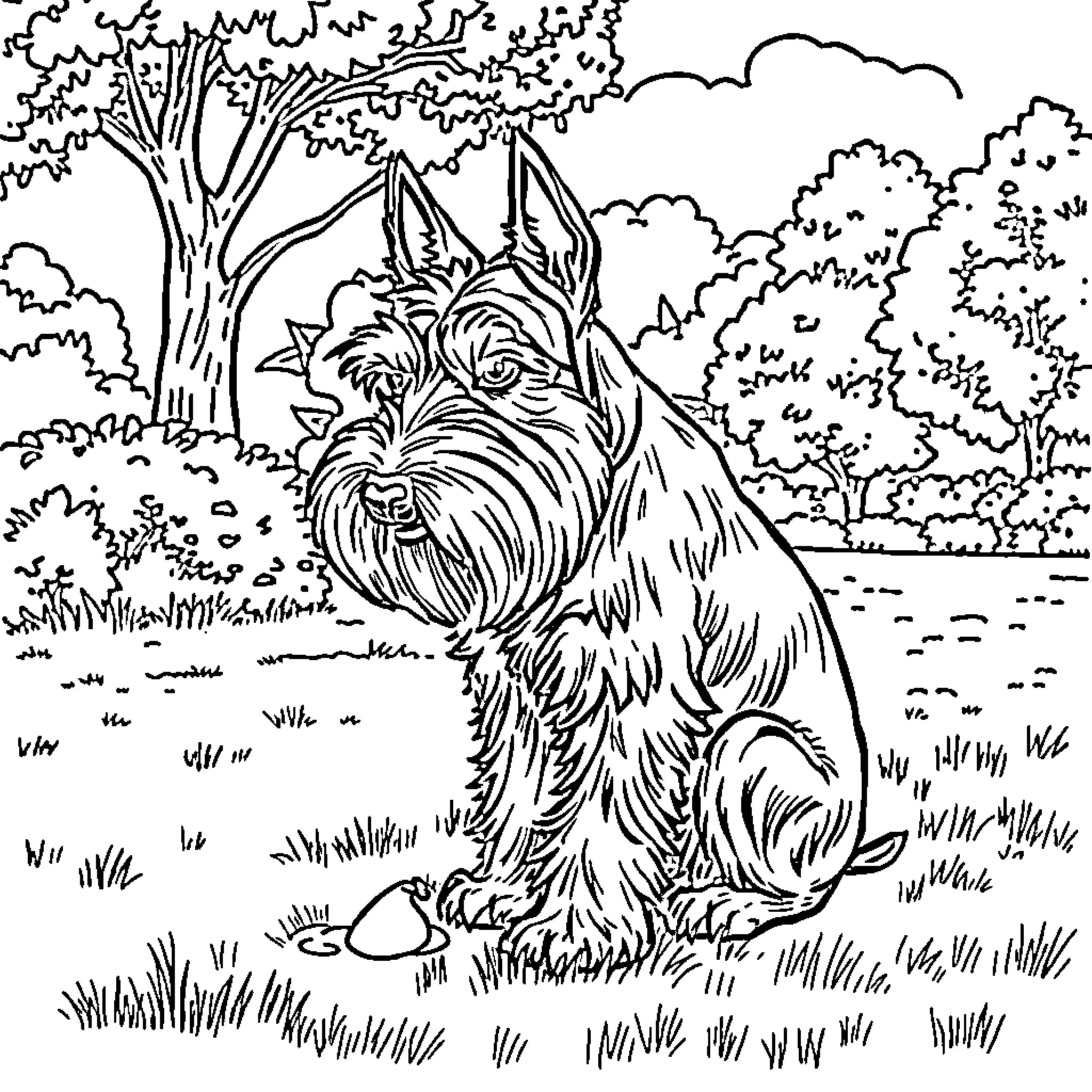 Schnauzer enjoying nature in the park Coloring Page (free black-and-white line drawing printable PDF for all, from beginners to advanced learners, including children, teens, adults, and seniors)