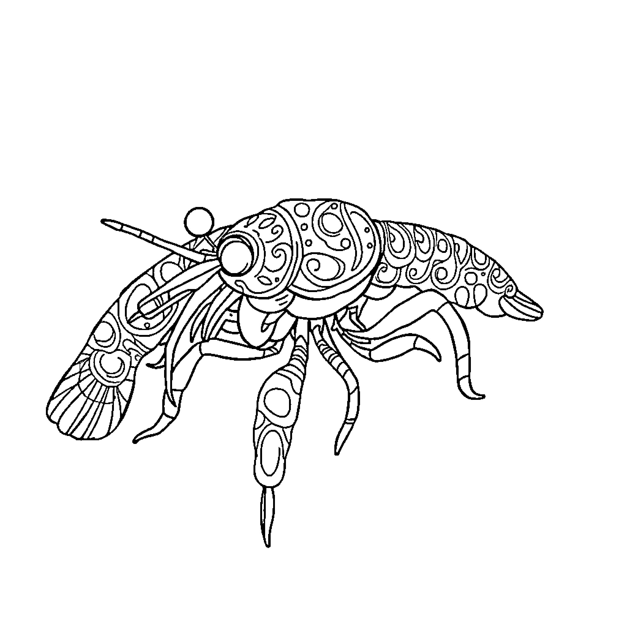Mantis Shrimp with Intricate Patterns Coloring Page (free black-and-white line drawing printable PDF for all, from beginners to advanced learners, including children, teens, adults, and seniors)