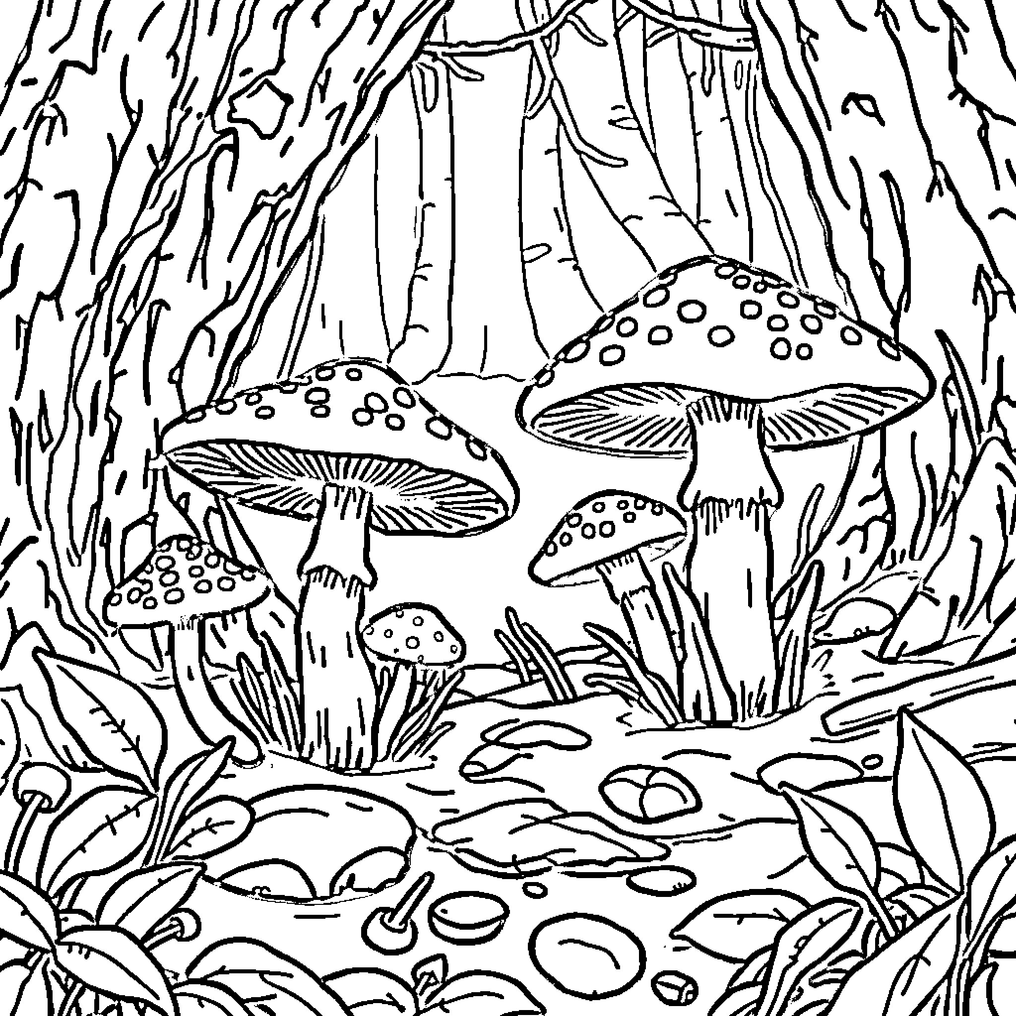 Fungi flourishing in the forest undergrowth Coloring Page (free black-and-white line drawing printable PDF for all, from beginners to advanced learners, including children, teens, adults, and seniors)
