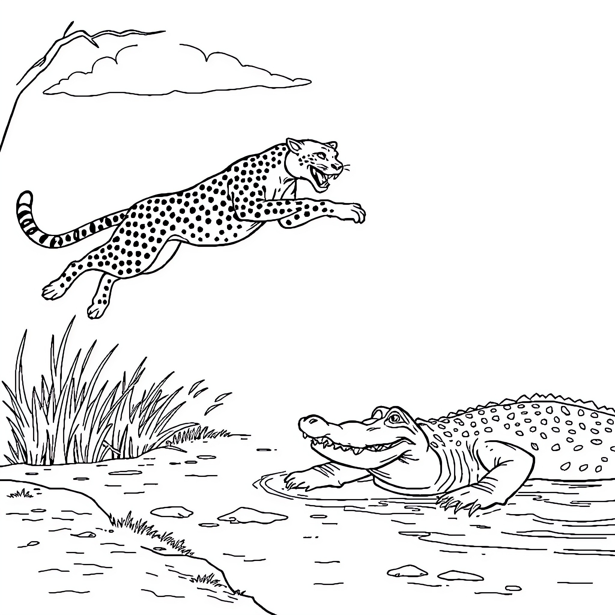 Cheetah chasing alligator in the wild Coloring Page (free black-and-white line drawing printable PDF for all, from beginners to advanced learners, including children, teens, adults, and seniors)