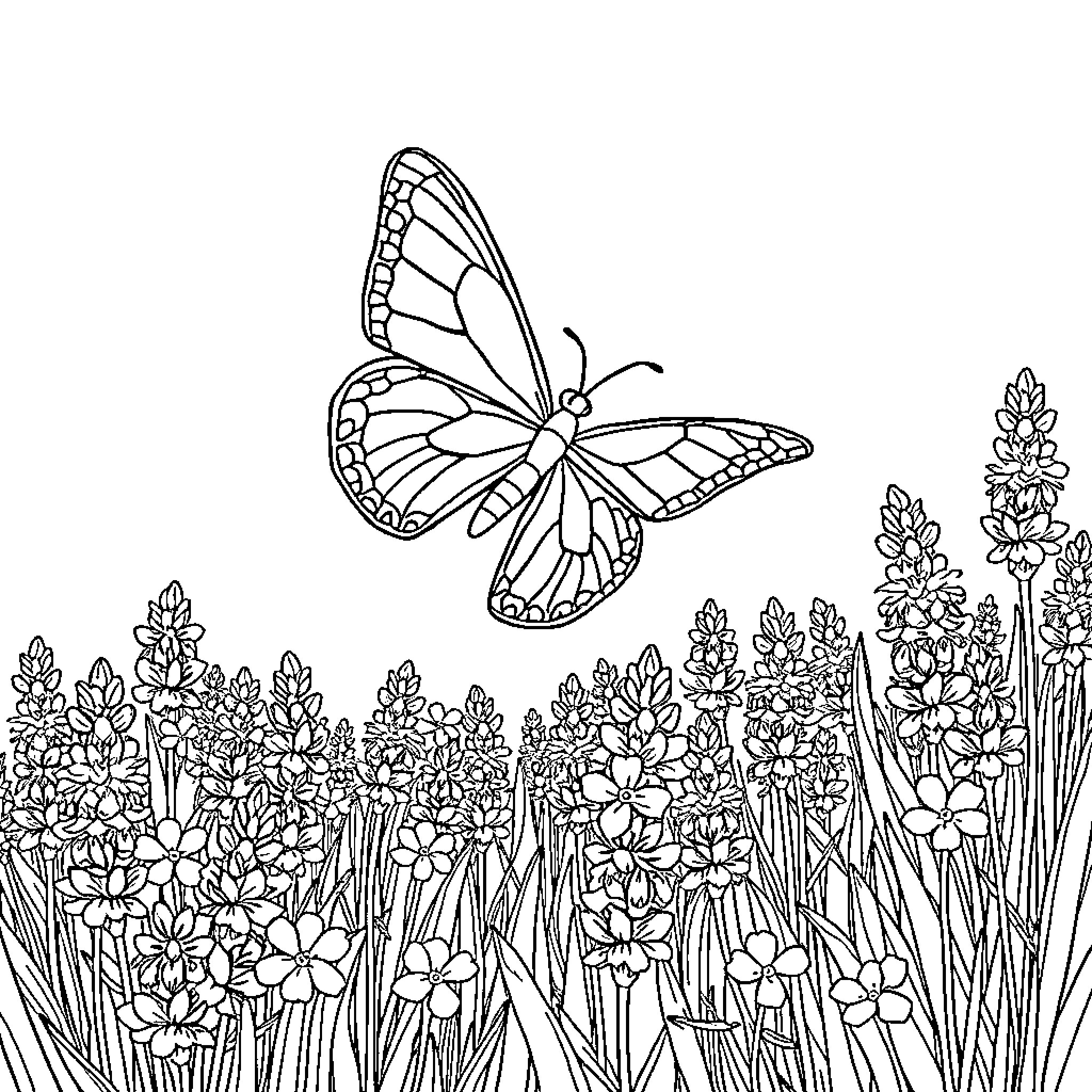 Butterfly soaring above a blossoming garden Coloring Page (free black-and-white line drawing printable PDF for all, from beginners to advanced learners, including children, teens, adults, and seniors)