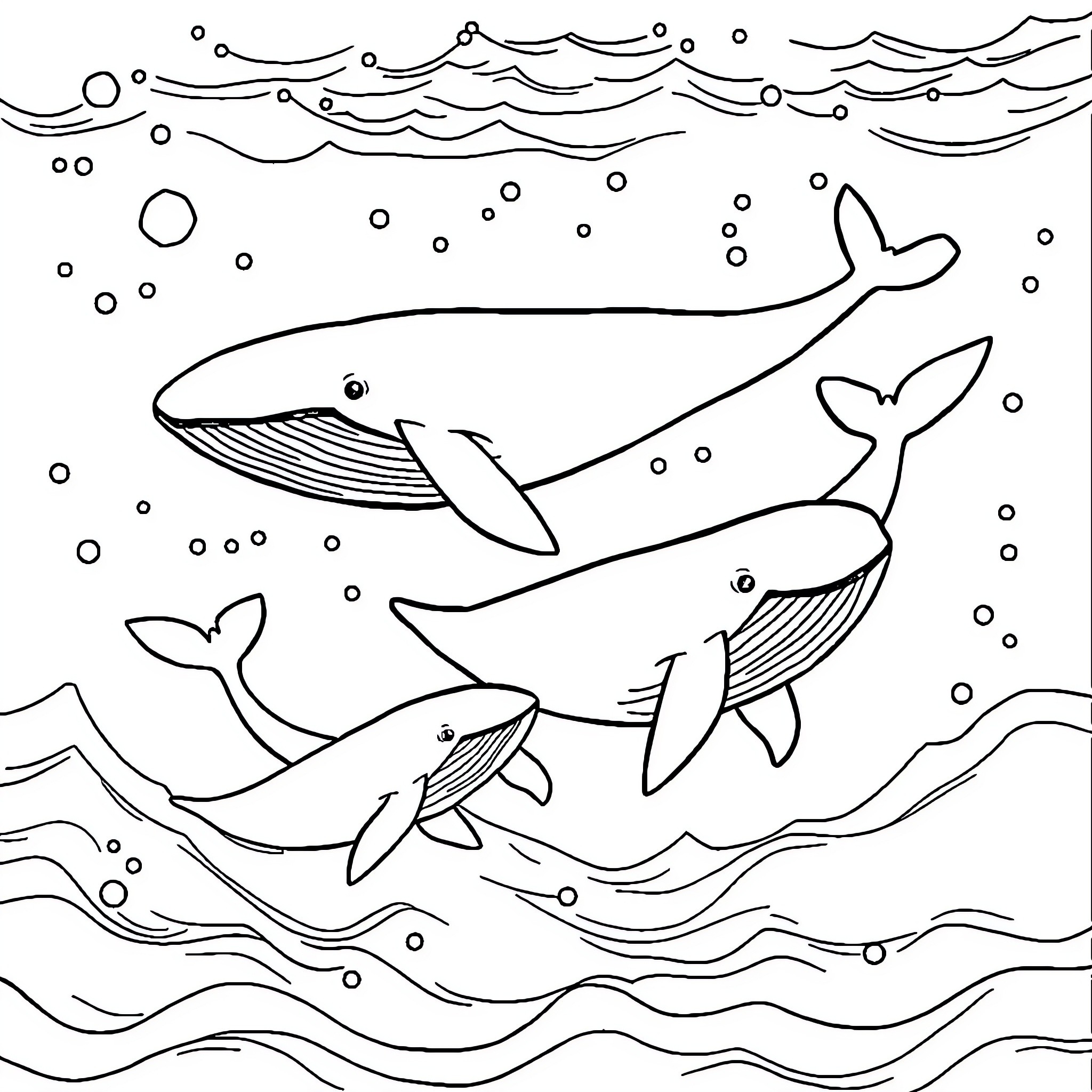 Whale family swimming in the ocean Coloring Page (free black-and-white line drawing printable PDF for all, from beginners to advanced learners, including children, teens, adults, and seniors)
