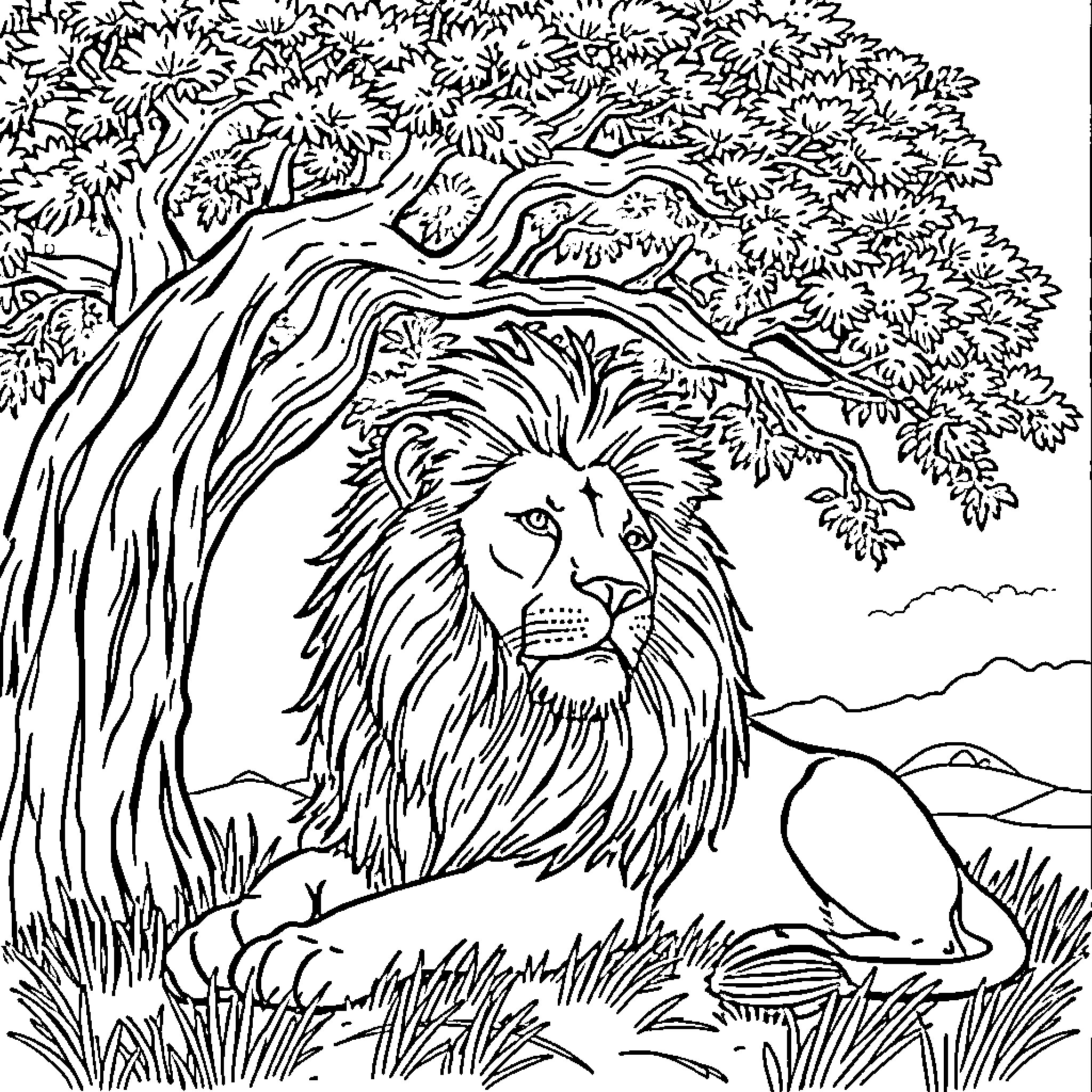 Lion resting under the majestic tree in the wild Coloring Page (free black-and-white line drawing printable PDF for all, from beginners to advanced learners, including children, teens, adults, and seniors)